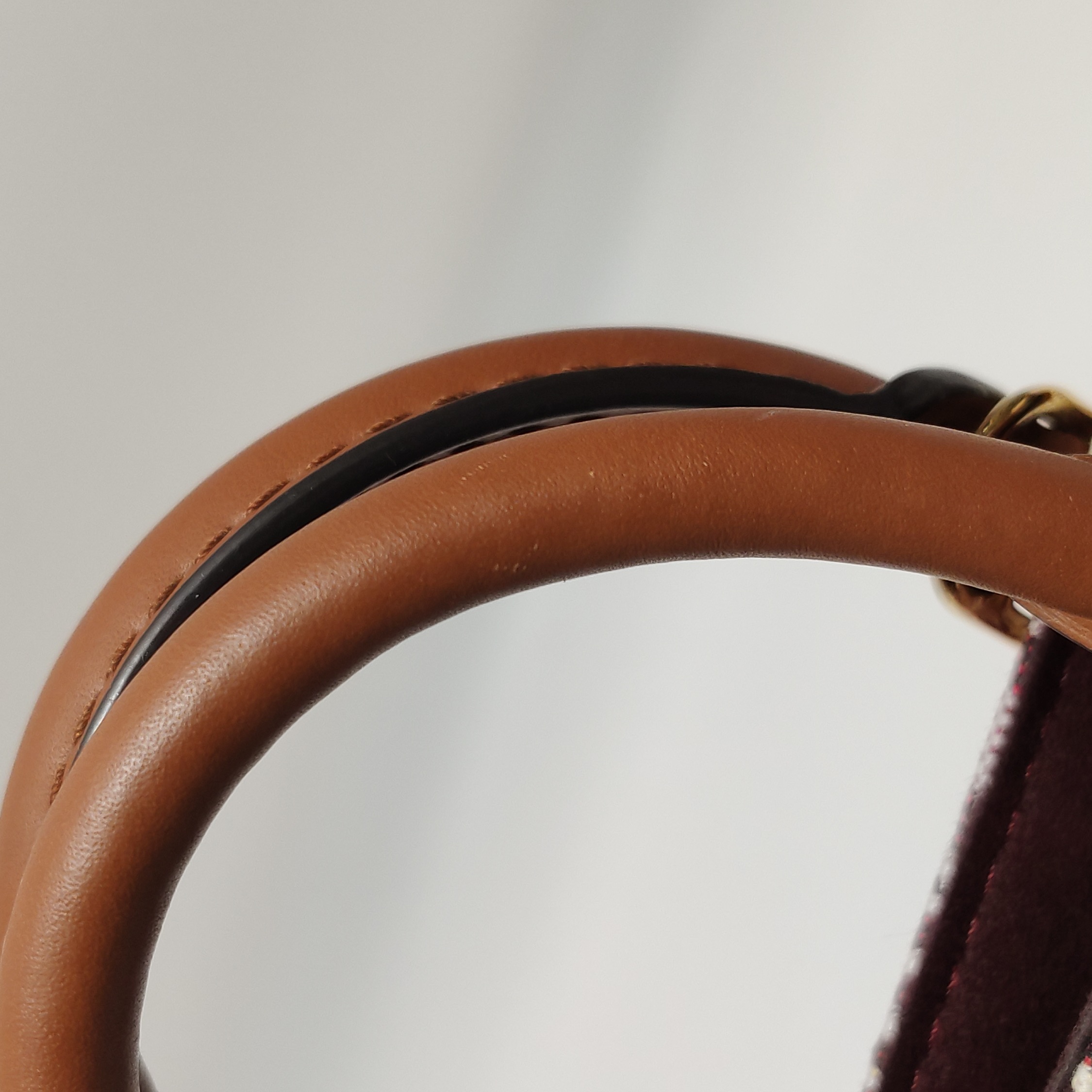 Louis Vuitton(LV) Petit Sac Plat Bag Limited Edition Since 1854 Monogram Jacquard — photo 16 of 16