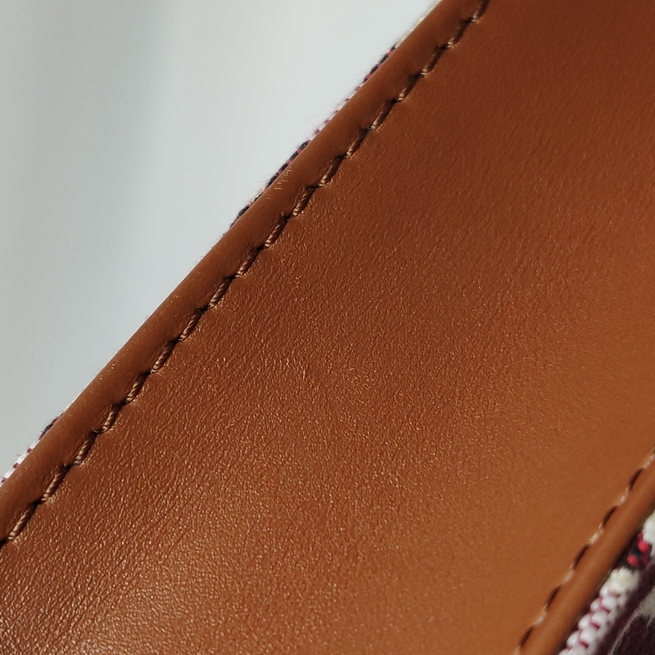 Louis Vuitton(LV) Petit Sac Plat Bag Limited Edition Since 1854 Monogram Jacquard — photo 13 of 16