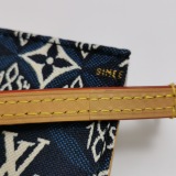 Louis Vuitton(LV) Petit Sac Plat Bag Limited Edition Since 1854 Monogram Jacquard — thumbnail 16