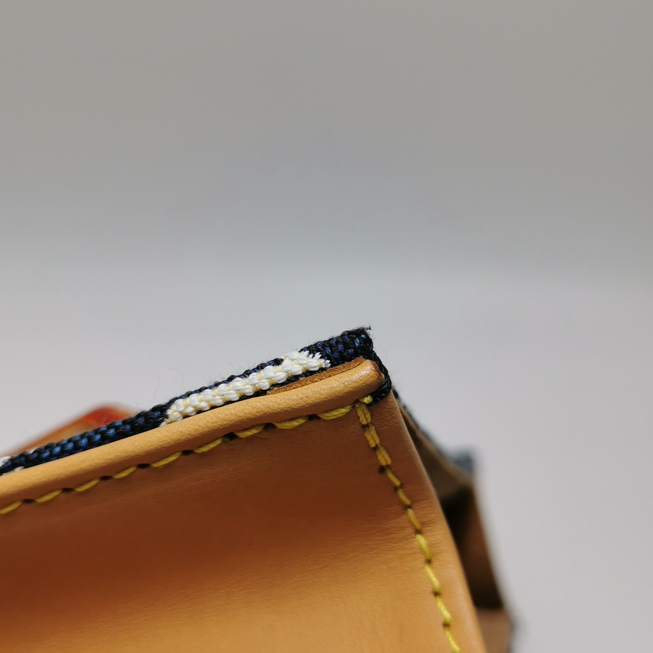 Louis Vuitton(LV) Petit Sac Plat Bag Limited Edition Since 1854 Monogram Jacquard — photo 17 of 20