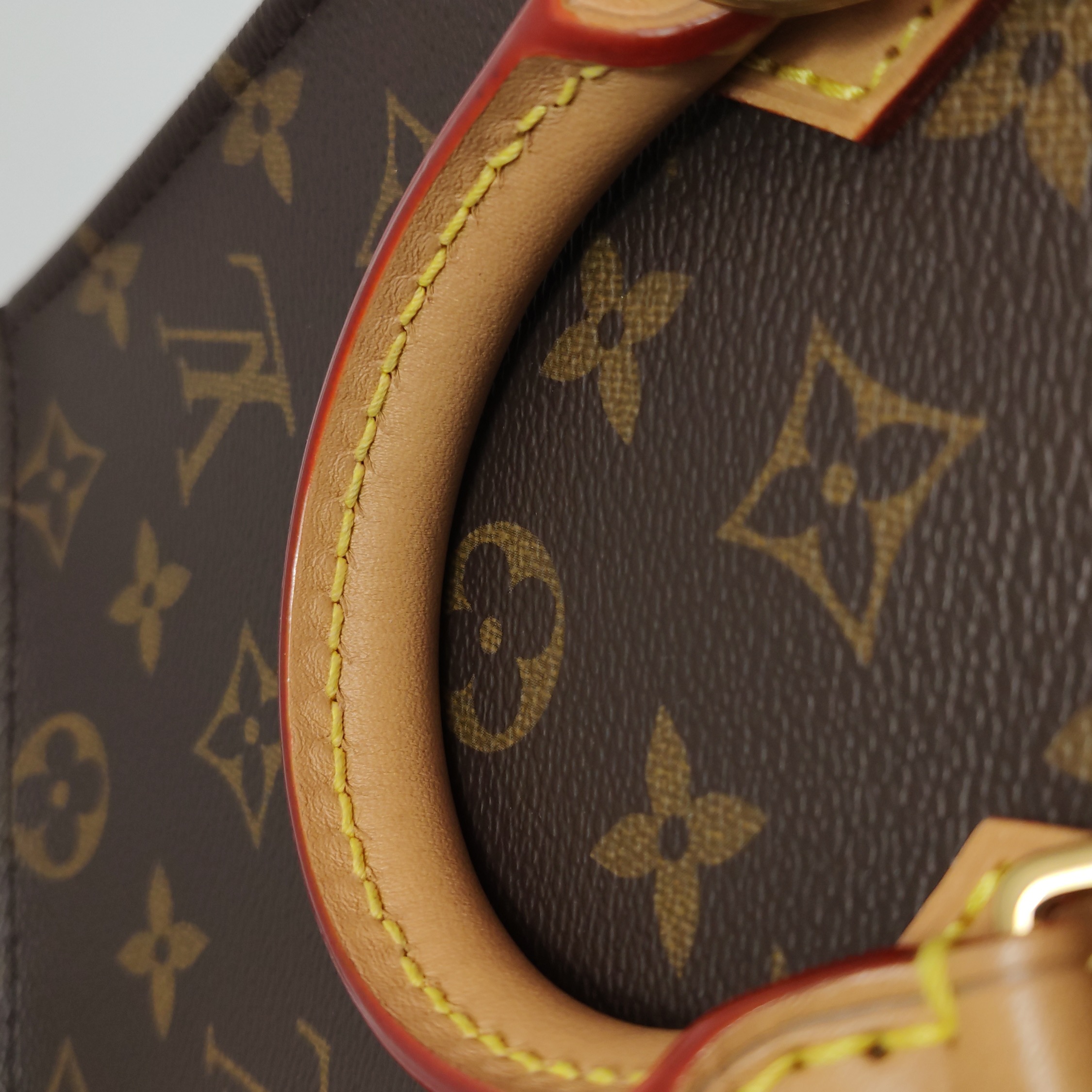 Louis Vuitton(LV) Petit Sac Plat Bag Monogram Canvas — photo 16 of 20