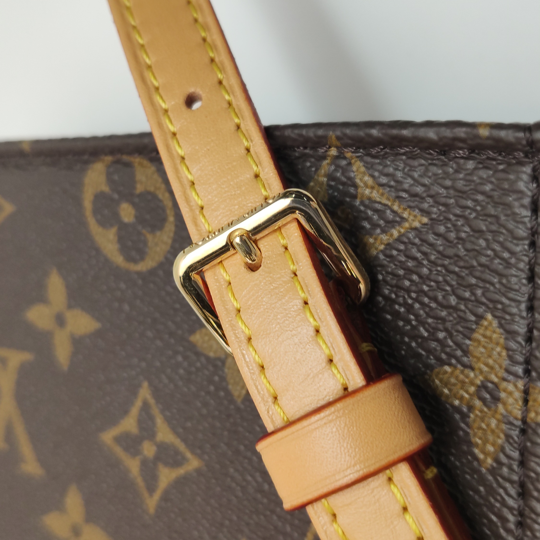 Louis Vuitton(LV) Petit Sac Plat Bag Monogram Canvas — photo 13 of 18