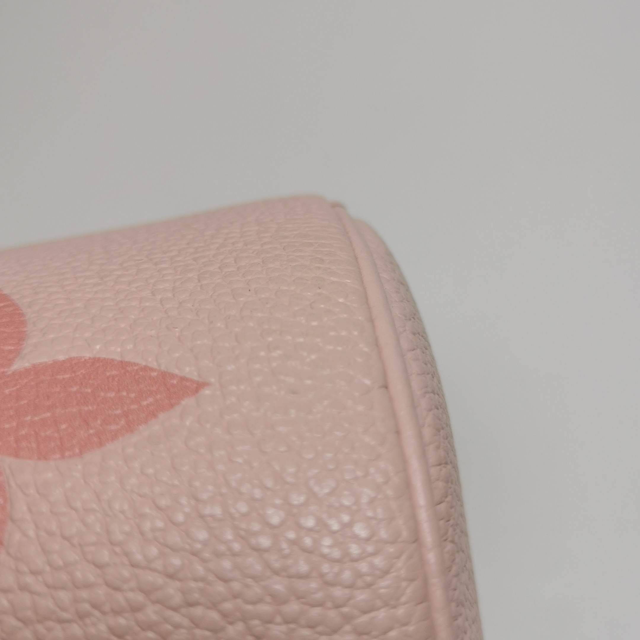 Louis Vuitton(LV) Papillon Handbag Bicolor Monogram Empreinte Giant BB — photo 14 of 14