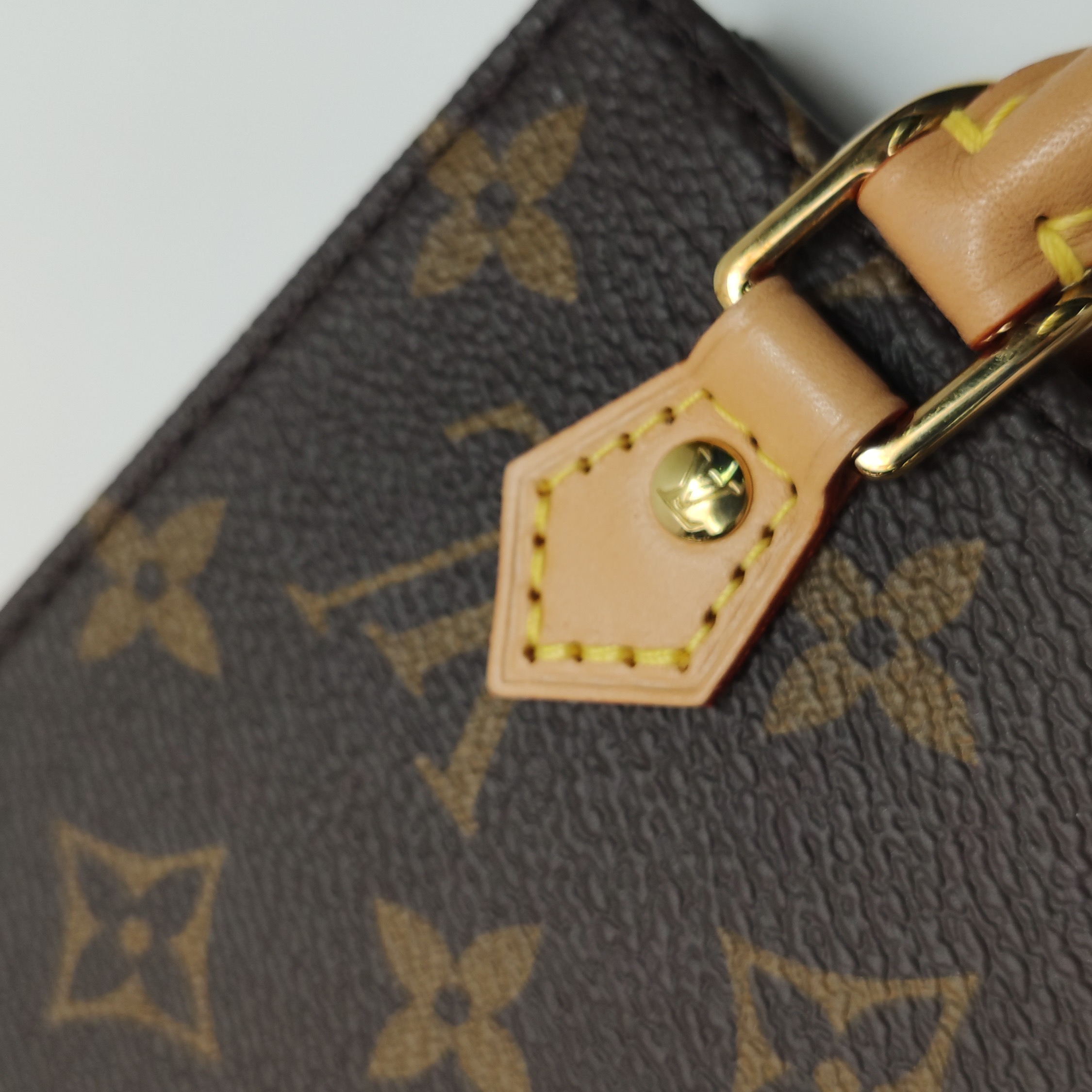 Louis Vuitton(LV) Petit Sac Plat Bag Monogram Canvas — photo 15 of 18