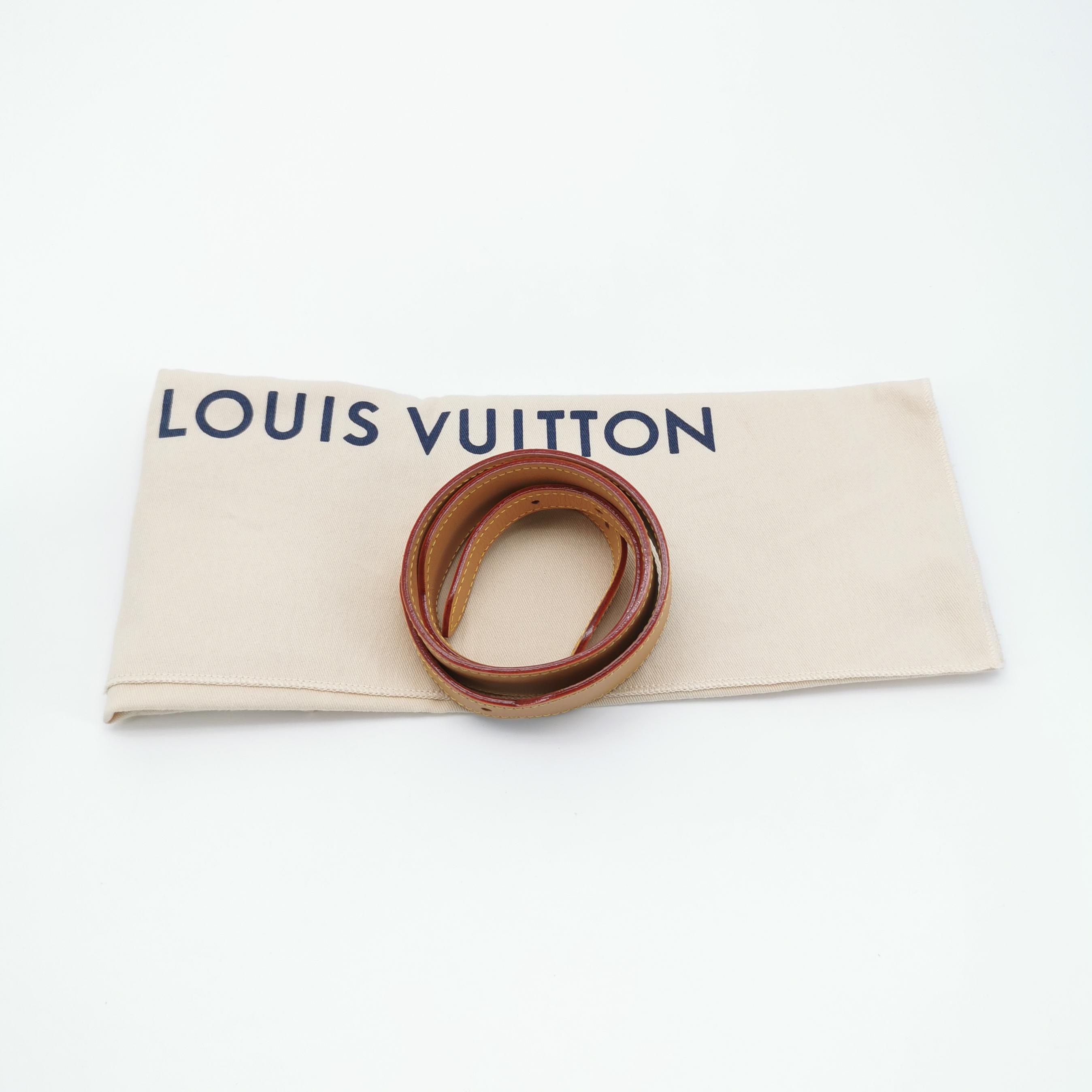 Louis Vuitton(LV) CarryAll Hobo Monogram Denim PM — photo 8 of 25