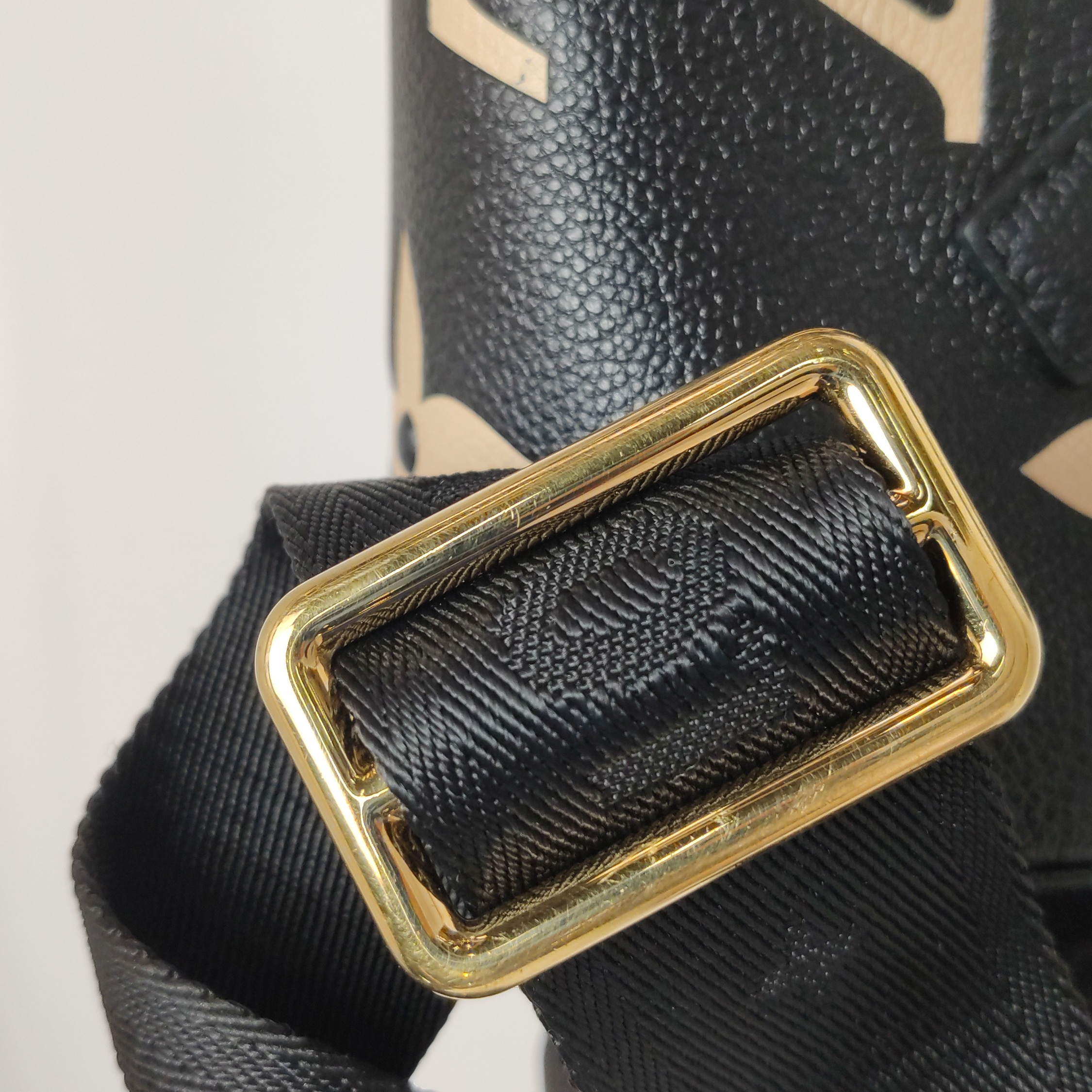 Louis Vuitton(LV) Papillon Handbag Bicolor Monogram Empreinte Giant BB — photo 15 of 16