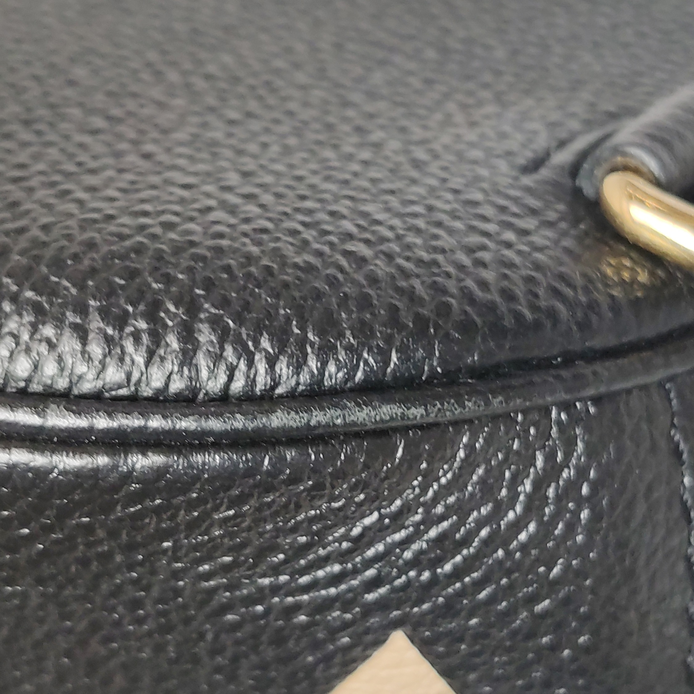 Louis Vuitton(LV) Papillon Handbag Bicolor Monogram Empreinte Giant BB — photo 10 of 16