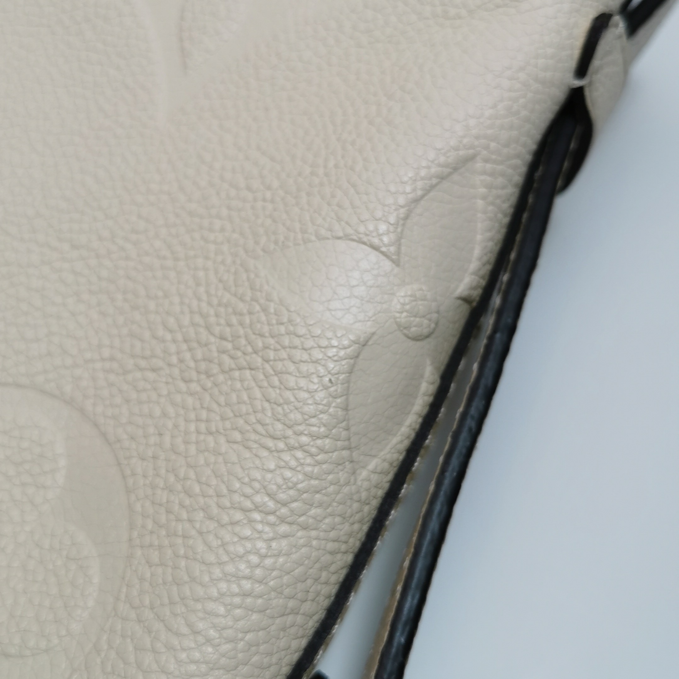 Louis Vuitton(LV) CarryAll Hobo Monogram Empreinte Giant PM — photo 16 of 24