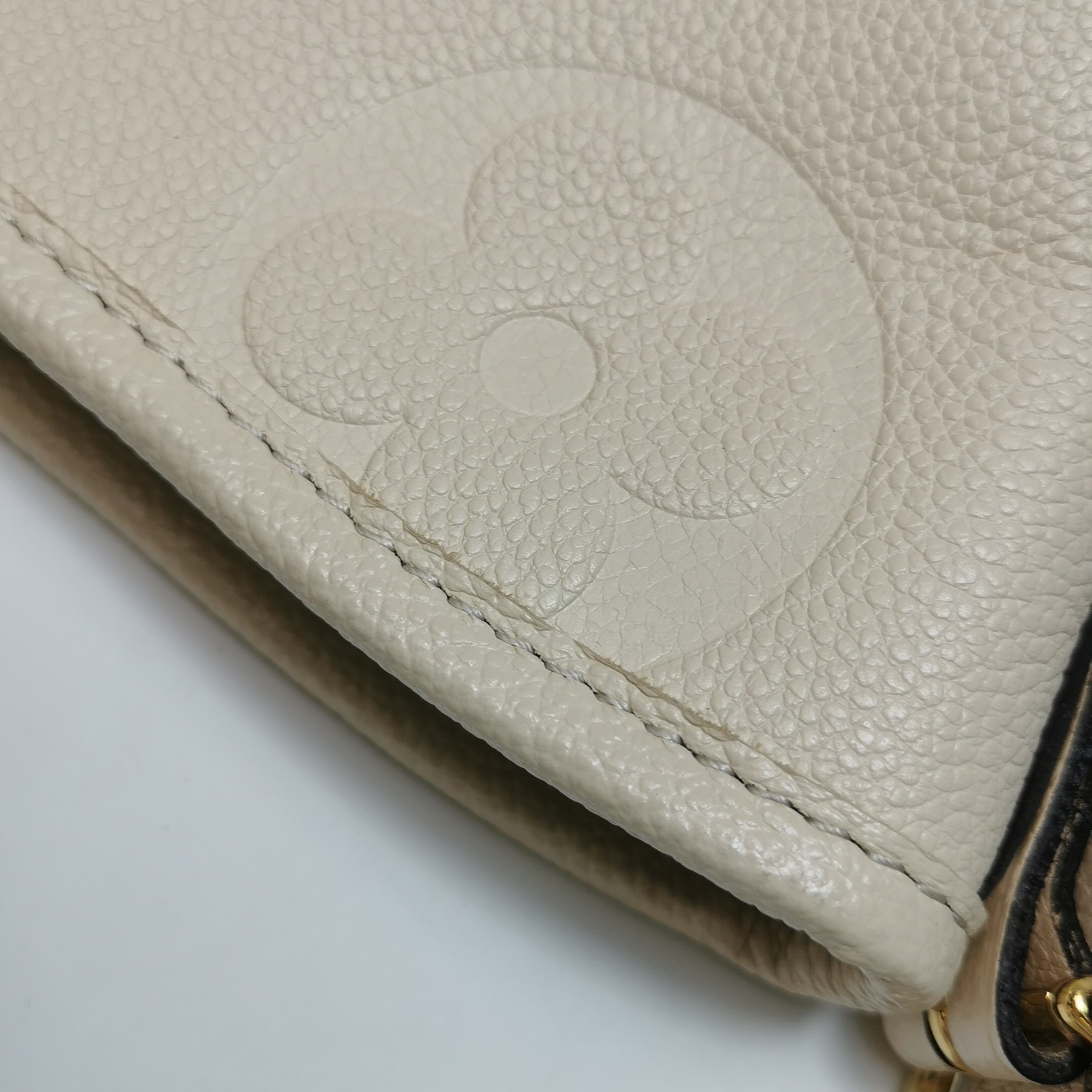 Louis Vuitton(LV) CarryAll Hobo Monogram Empreinte Giant PM — photo 13 of 24