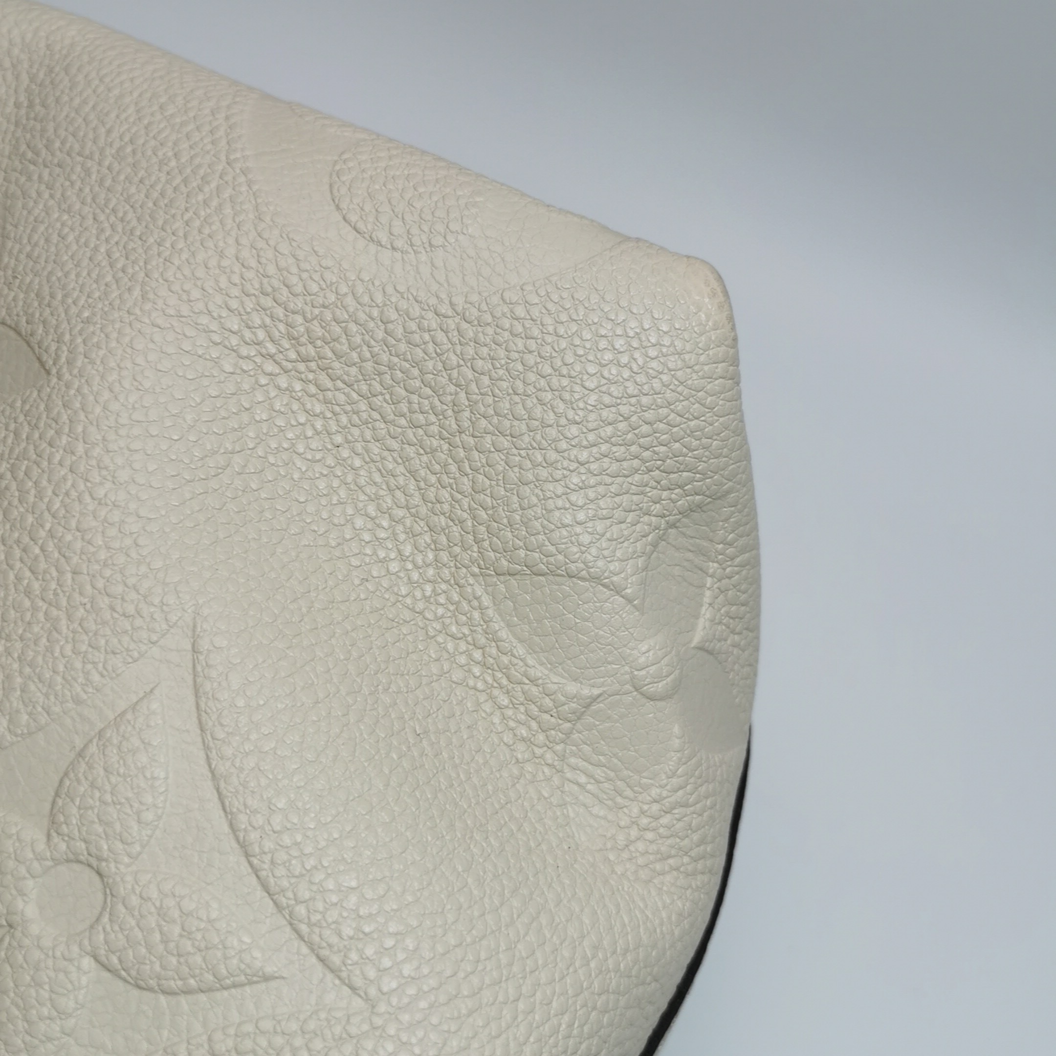 Louis Vuitton(LV) CarryAll Hobo Monogram Empreinte Giant PM — photo 11 of 24