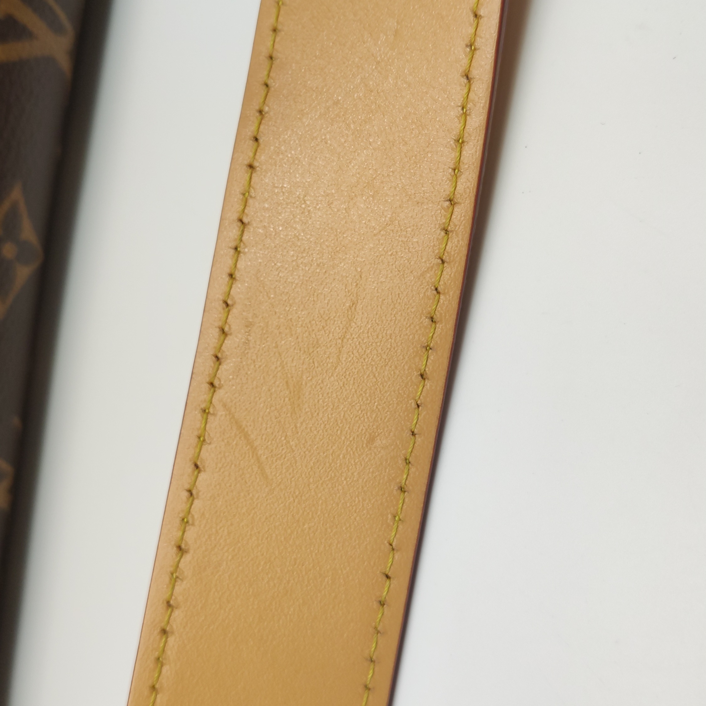 Louis Vuitton(LV) CarryAll Hobo Monogram Canvas PM — photo 21 of 21