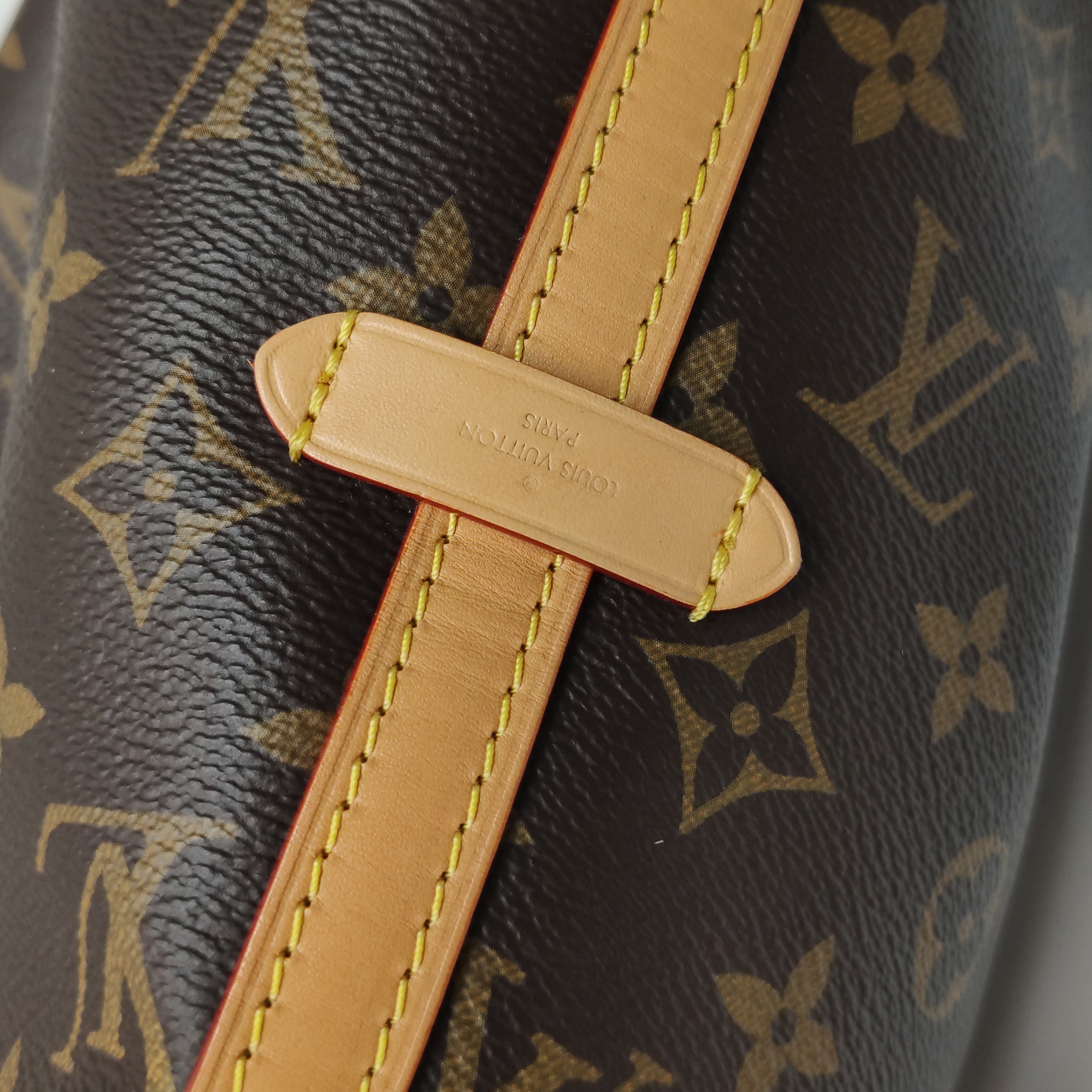 Louis Vuitton(LV) CarryAll Hobo Monogram Canvas PM — photo 12 of 21