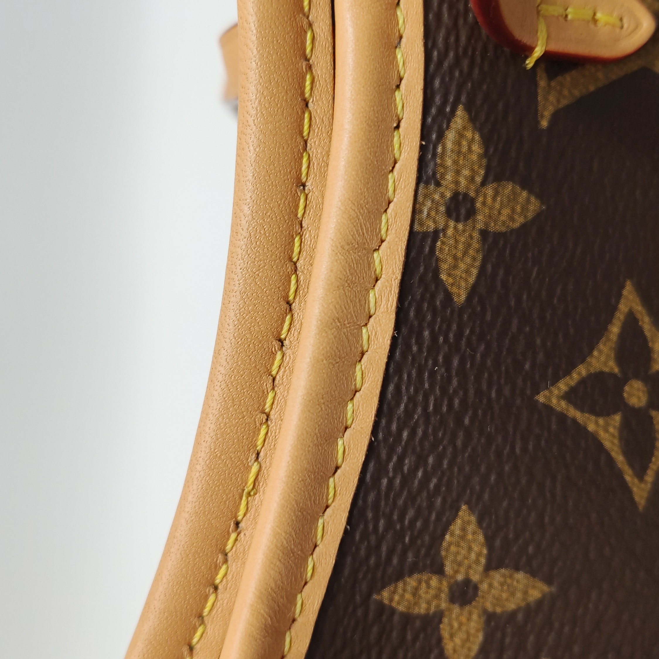 Louis Vuitton(LV) CarryAll Hobo Monogram Canvas PM — photo 14 of 21