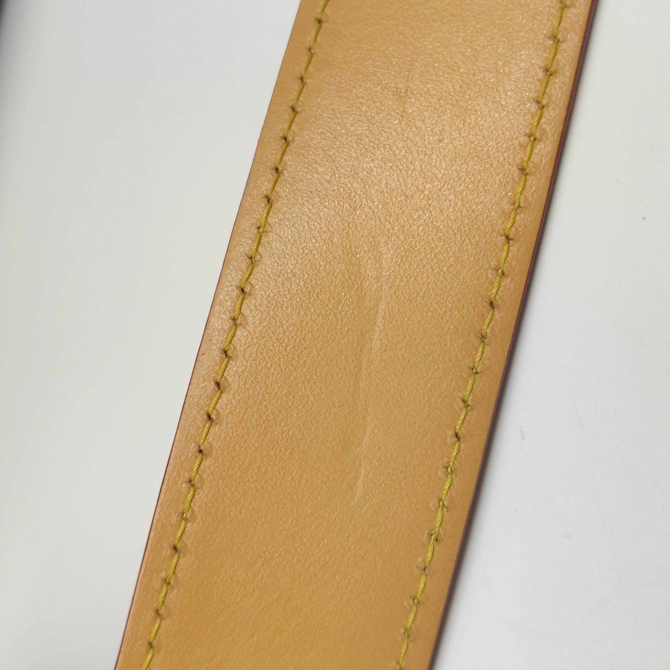 Louis Vuitton(LV) CarryAll Hobo Monogram Canvas PM — photo 20 of 21