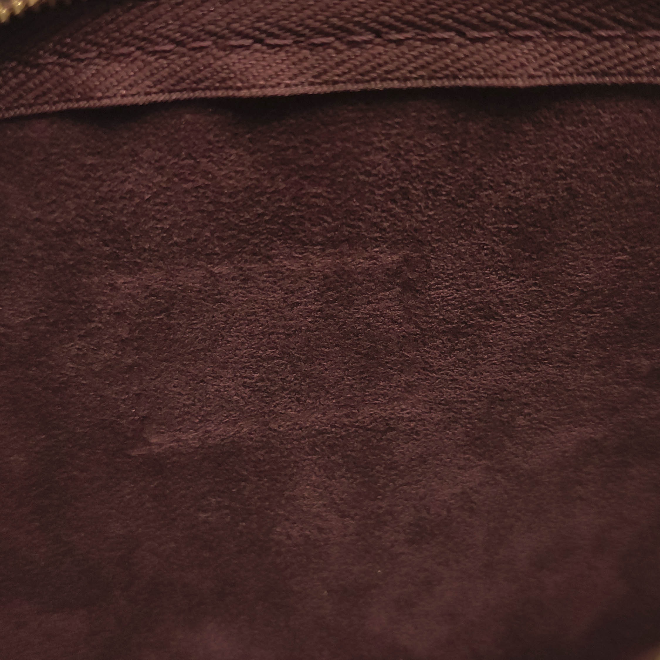 Louis Vuitton(LV) CarryAll Hobo Monogram Canvas PM — photo 11 of 21