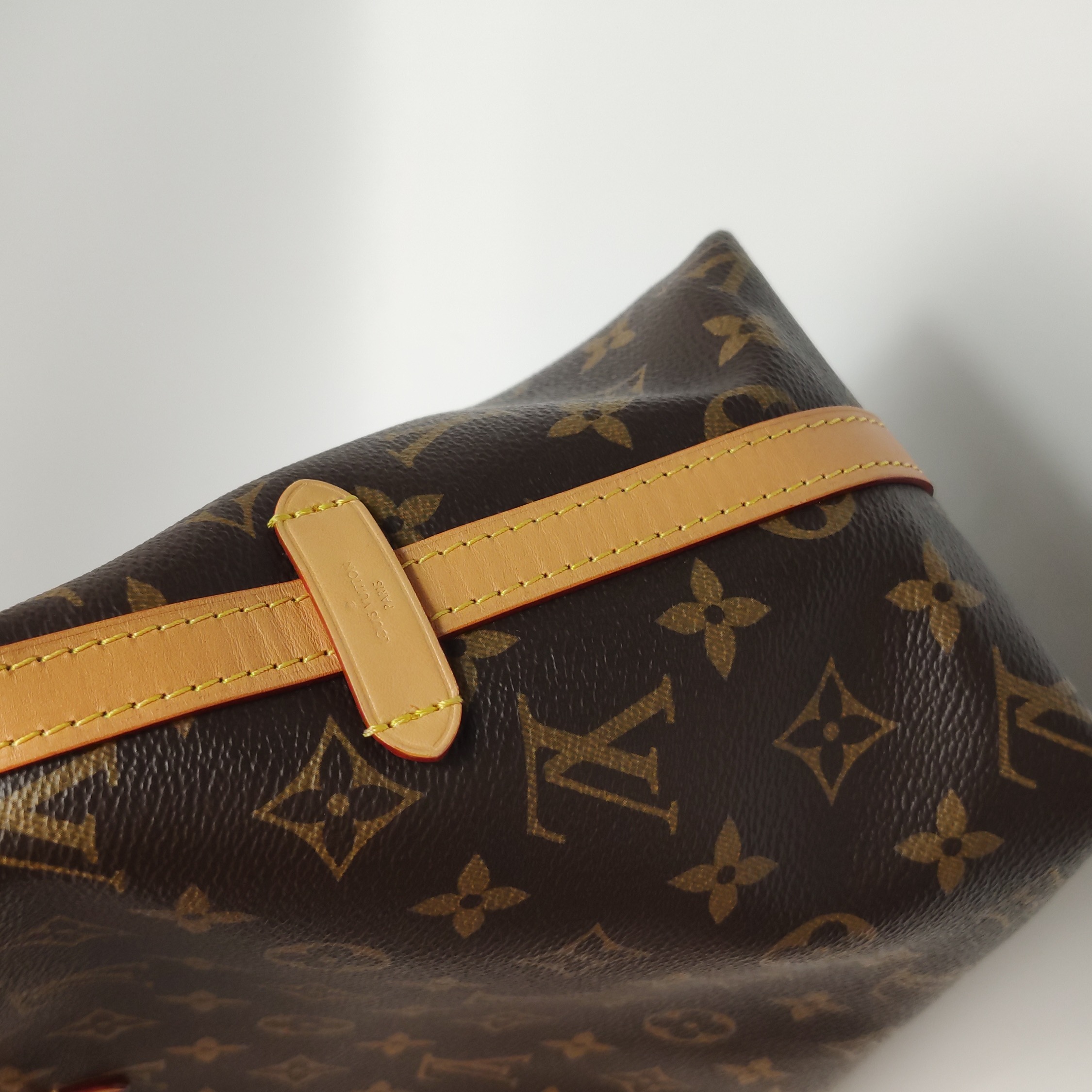 Louis Vuitton(LV) CarryAll Hobo Monogram Canvas PM — photo 13 of 21
