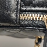 Chanel Pearl Crush Vanity Case with Chain Quilted Lambskin Mini — thumbnail 13