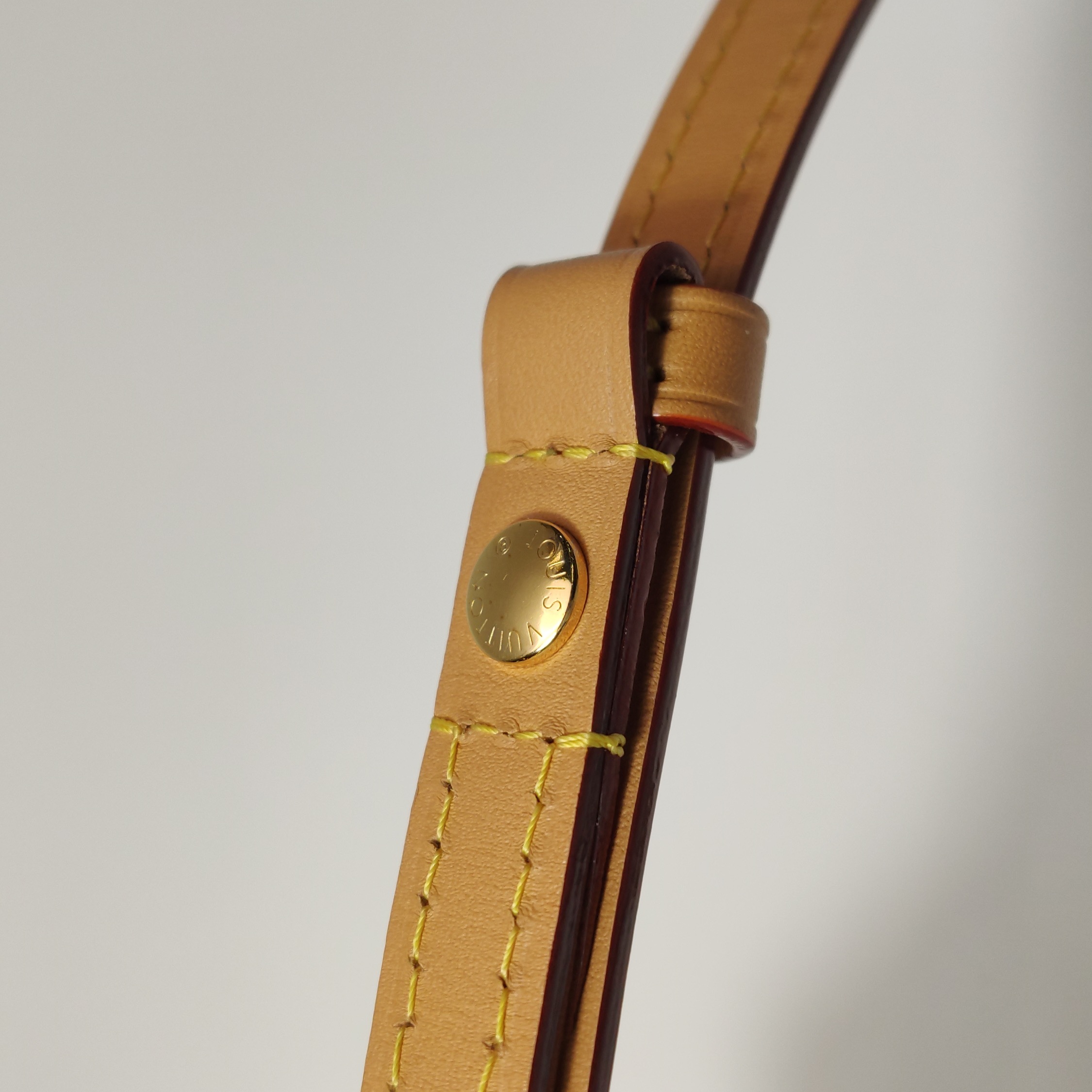 Louis Vuitton(LV) Ivy Wallet on Chain Monogram Canvas — photo 14 of 17