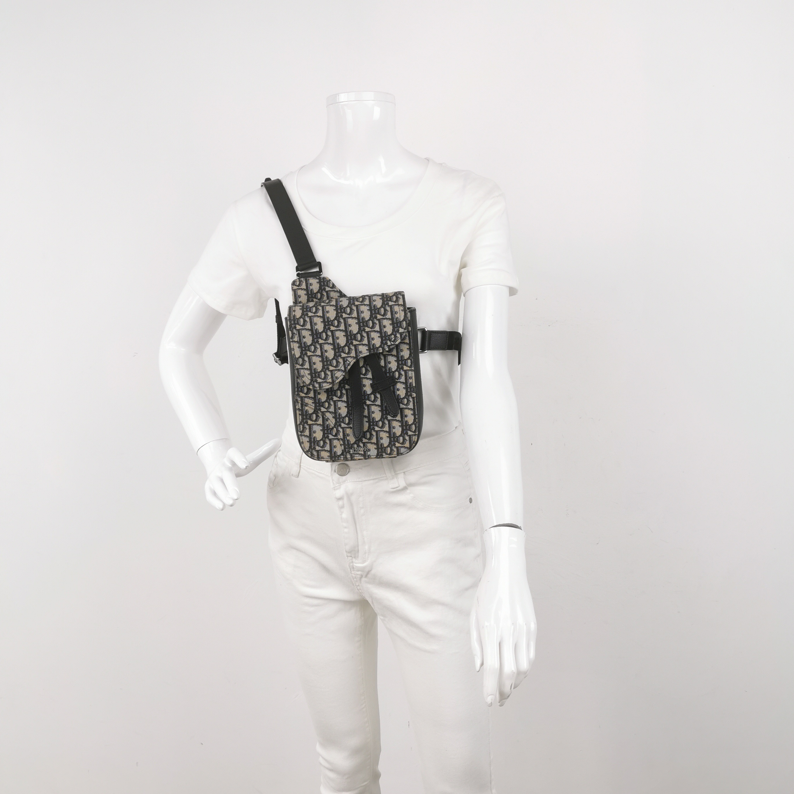 Christian Dior Saddle Rectangular Crossbody Pouch Oblique Canvas — alternate view