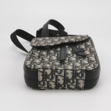 Christian Dior Saddle Rectangular Crossbody Pouch Oblique Canvas — thumbnail 6