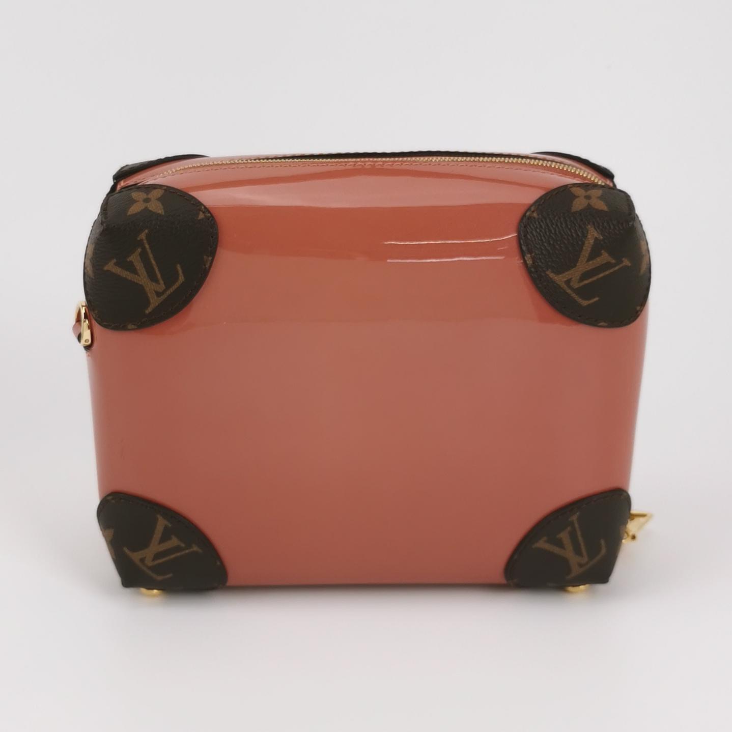 Louis Vuitton(LV) Venice Handbag Vernis with Monogram Canvas — photo 5 of 22