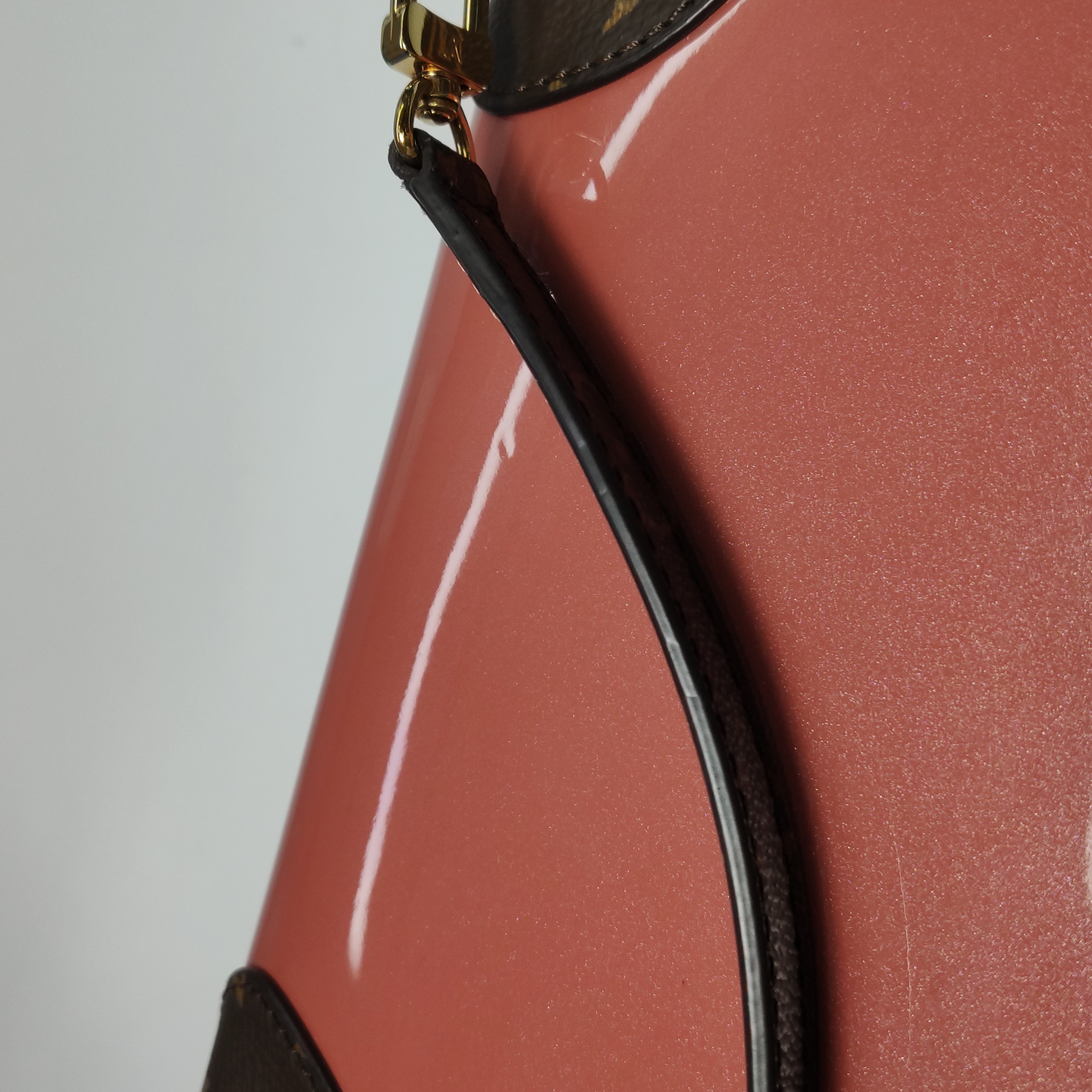 Louis Vuitton(LV) Venice Handbag Vernis with Monogram Canvas — photo 15 of 22
