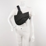 Christian Dior Saddle Crossbody Bag Oblique Canvas — thumbnail 2
