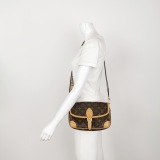 Louis Vuitton(LV) Diane NM Handbag Monogram Canvas — thumbnail 2