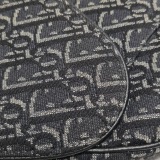 Christian Dior Saddle Crossbody Bag Oblique Canvas — thumbnail 10