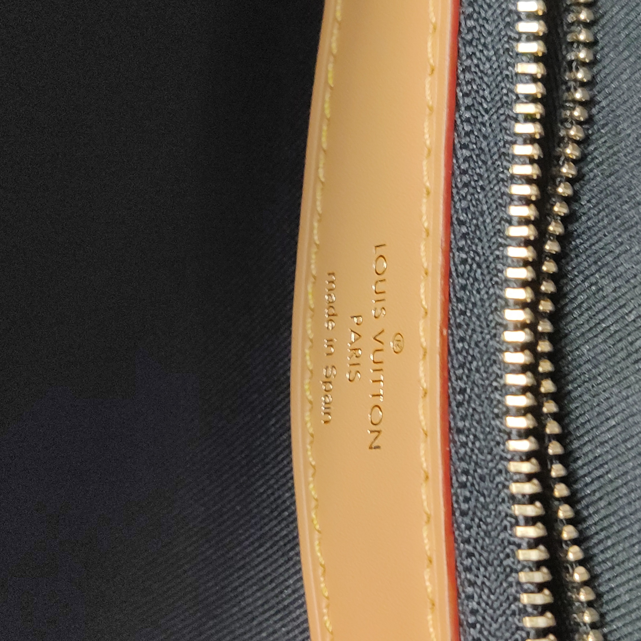 Louis Vuitton(LV) Diane NM Handbag Monogram Canvas — photo 20 of 21