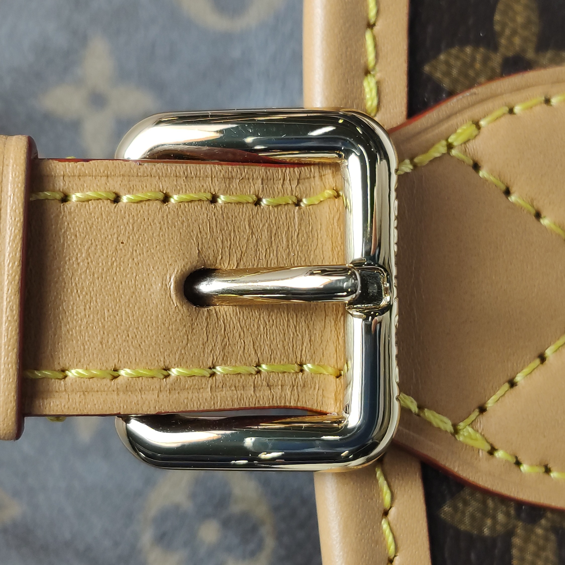 Louis Vuitton(LV) Diane NM Handbag Monogram Canvas — photo 10 of 21