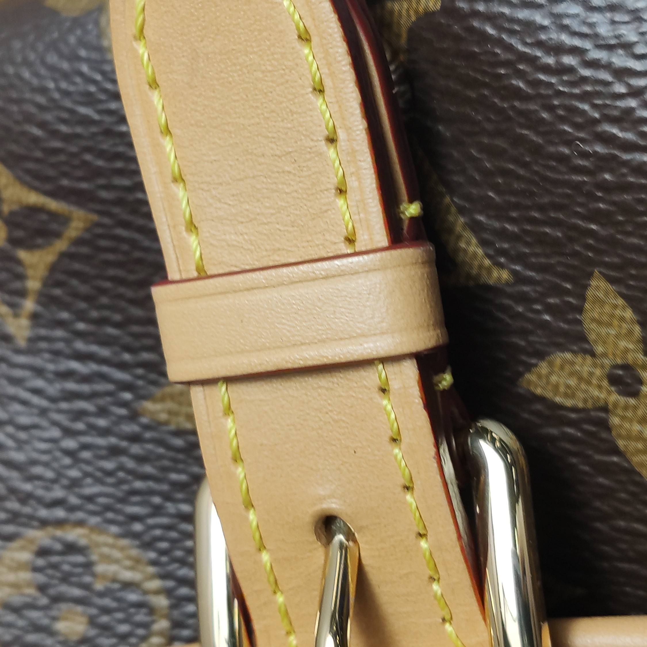 Louis Vuitton(LV) Diane NM Handbag Monogram Canvas — photo 12 of 21