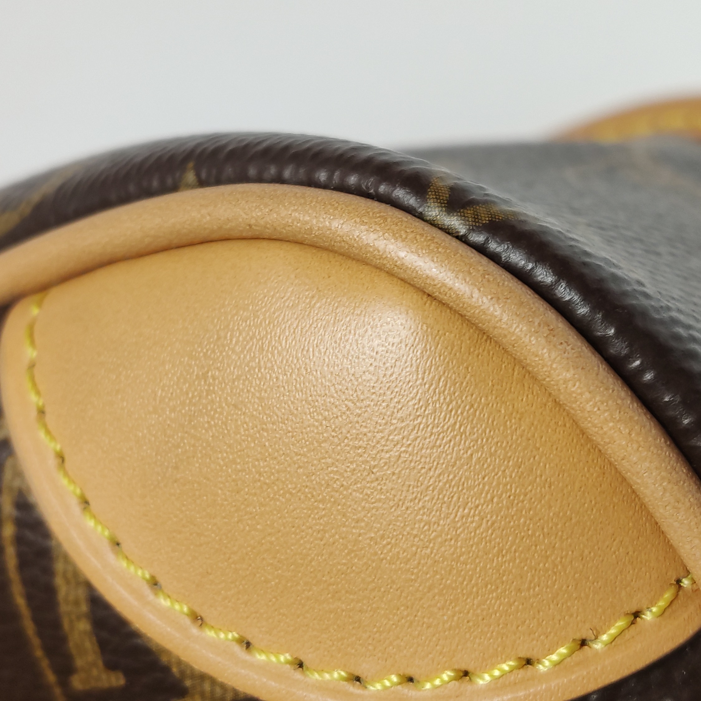 Louis Vuitton(LV) Diane NM Handbag Monogram Canvas — photo 15 of 21