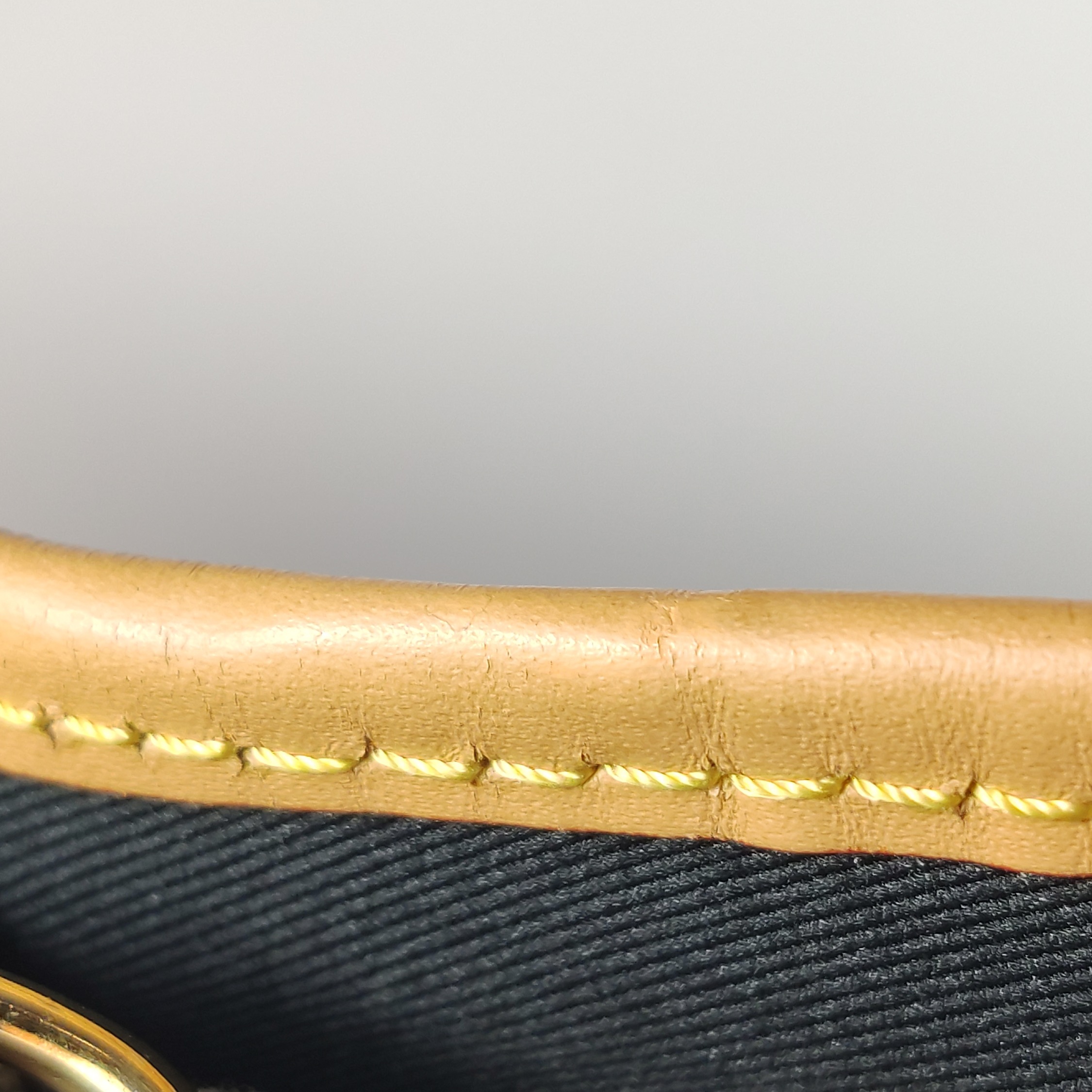 Louis Vuitton(LV) Diane NM Handbag Monogram Canvas — photo 16 of 21