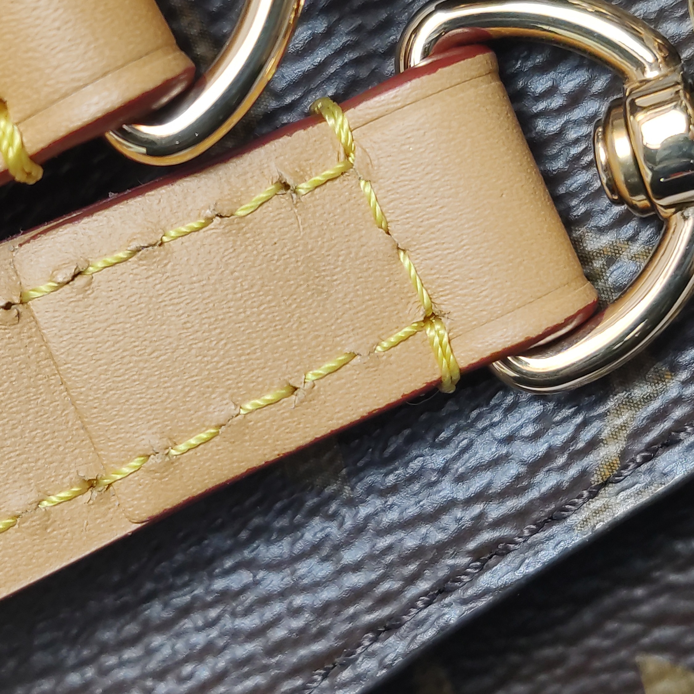 Louis Vuitton(LV) Diane NM Handbag Monogram Canvas — photo 11 of 21