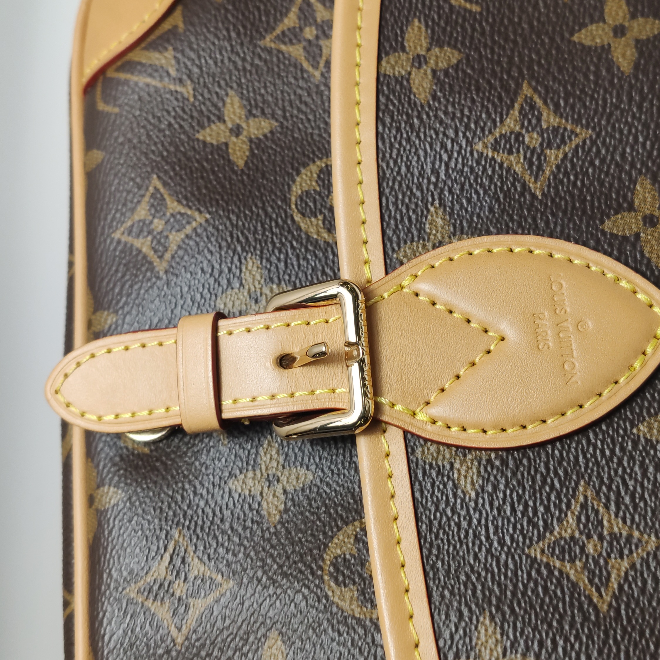 Louis Vuitton(LV) Diane NM Handbag Monogram Canvas — photo 13 of 21