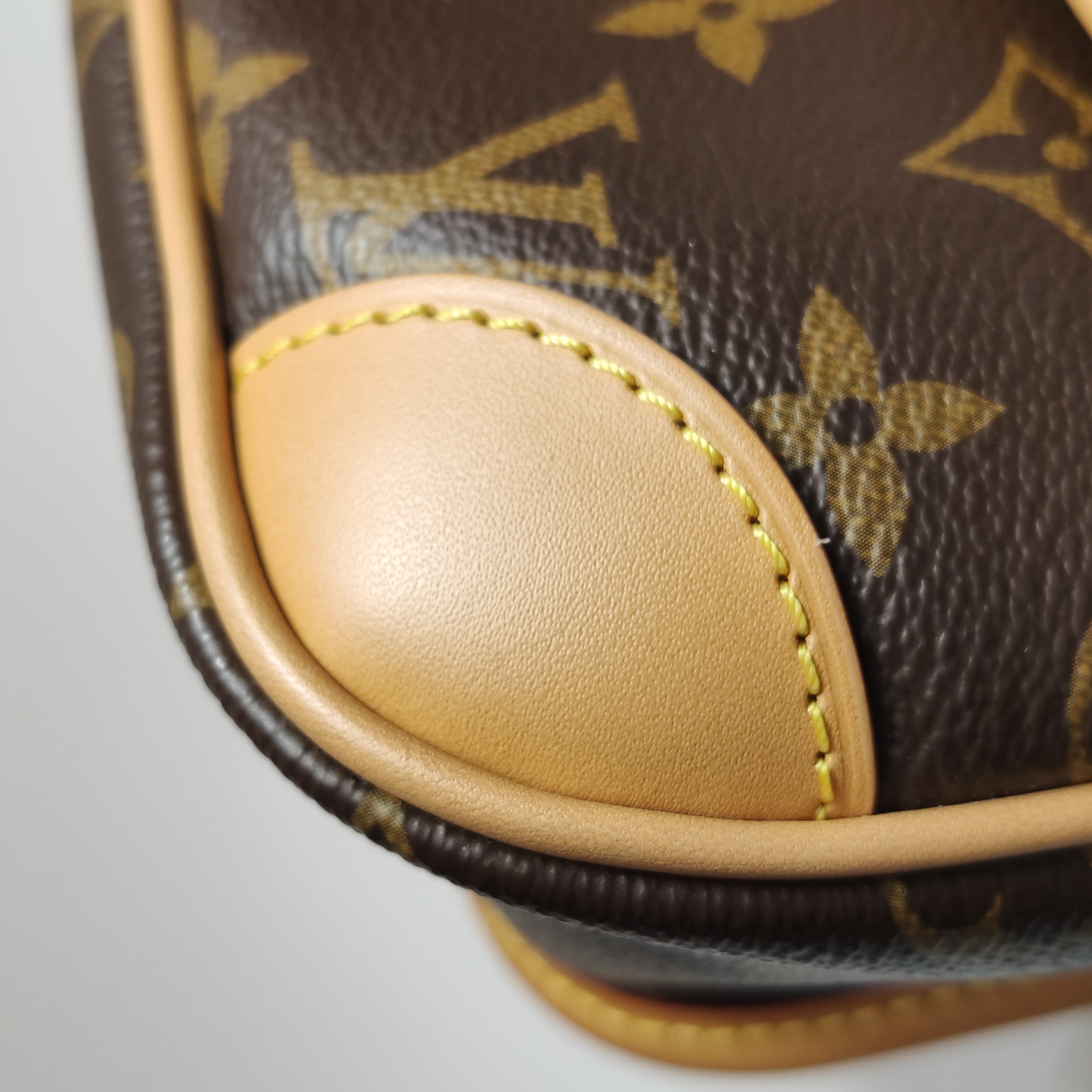 Louis Vuitton(LV) Diane NM Handbag Monogram Canvas — photo 18 of 21