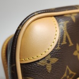 Louis Vuitton(LV) Diane NM Handbag Monogram Canvas — thumbnail 18