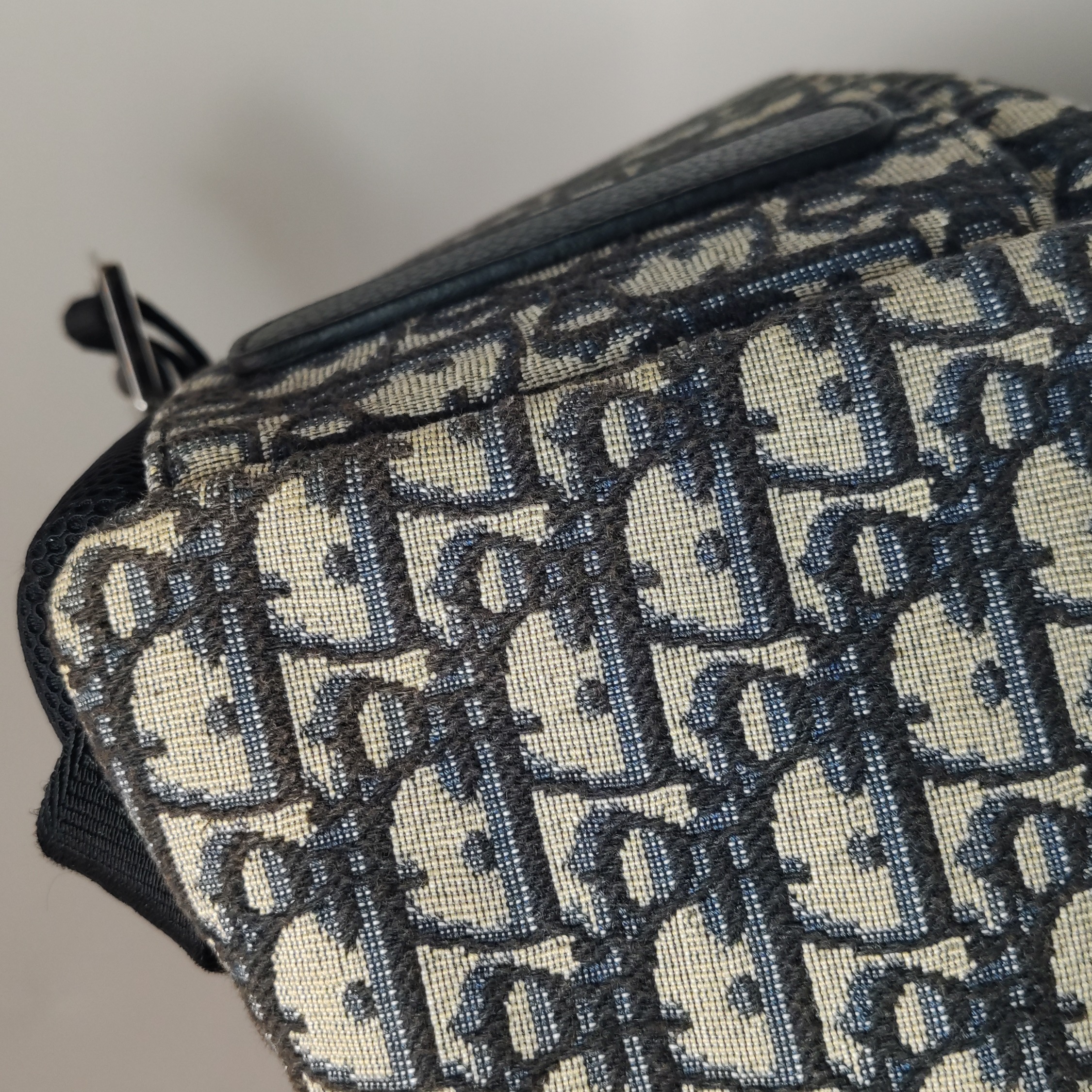Dior Rider Backpack Oblique Canvas Medium — photo 14 of 20