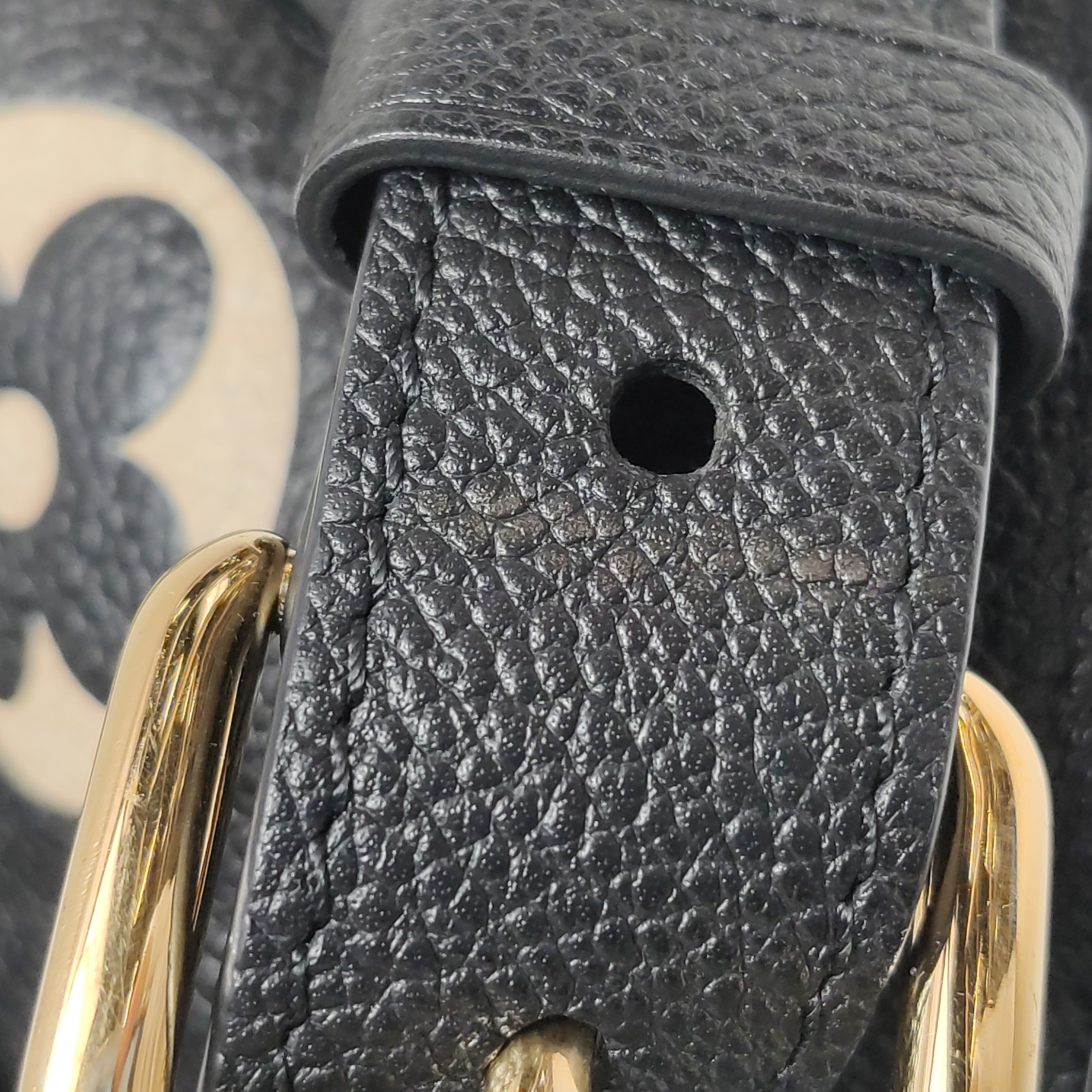 Louis Vuitton(LV) Madeleine Handbag Bicolor Monogram Empreinte Giant BB — photo 11 of 14