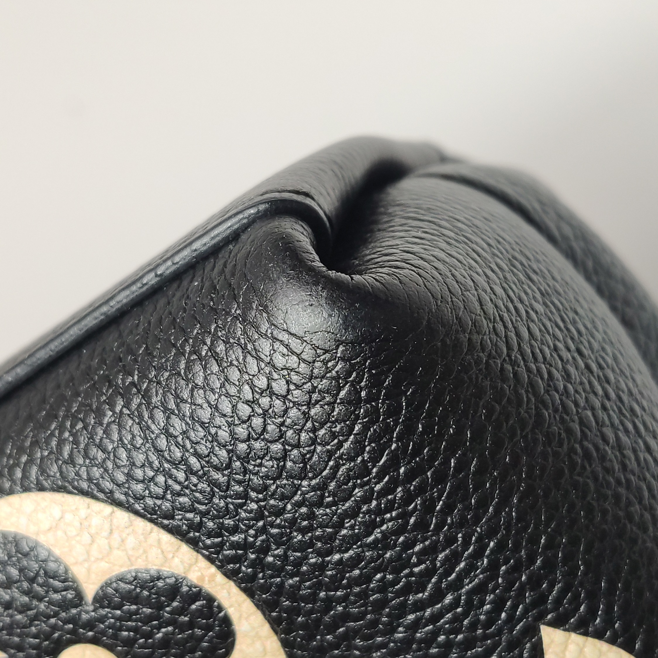 Louis Vuitton(LV) Madeleine Handbag Bicolor Monogram Empreinte Giant BB — photo 9 of 14