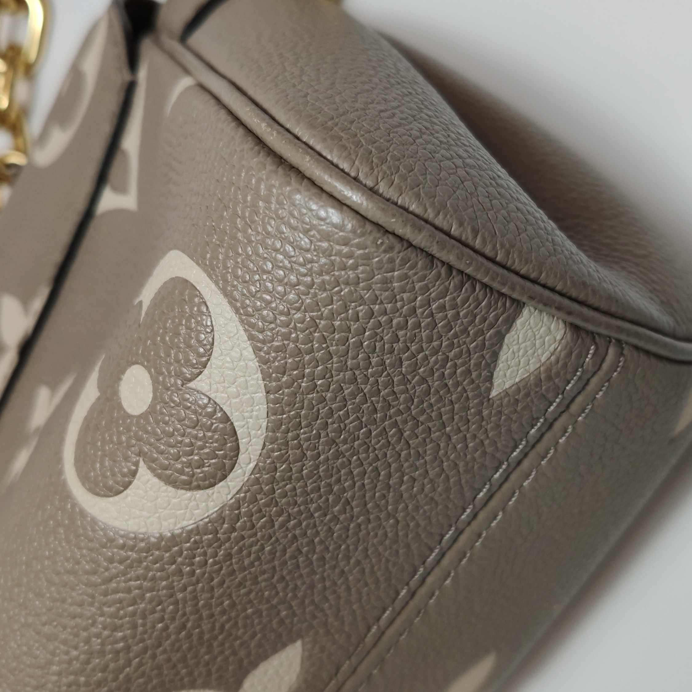 Louis Vuitton(LV) Favorite NM Handbag Bicolor Monogram Empreinte Giant — photo 10 of 16