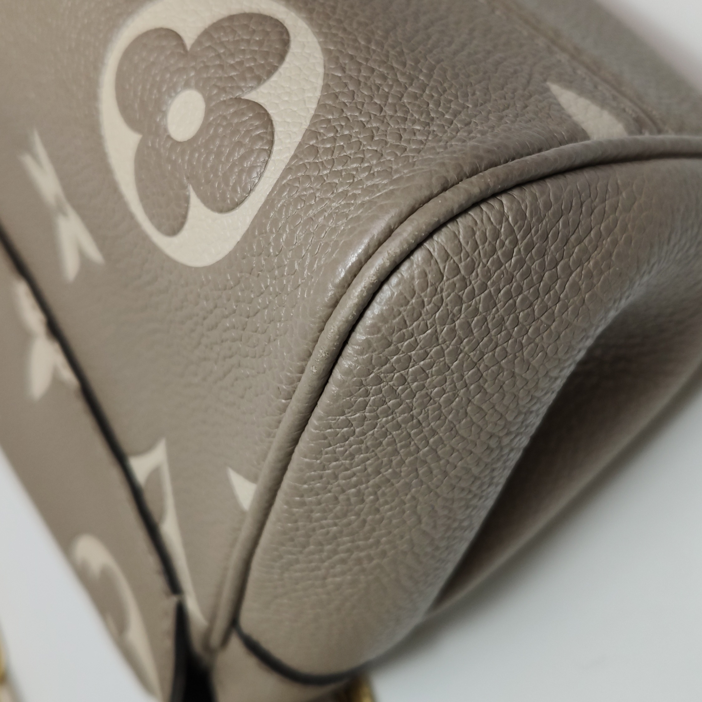 Louis Vuitton(LV) Favorite NM Handbag Bicolor Monogram Empreinte Giant — photo 11 of 16