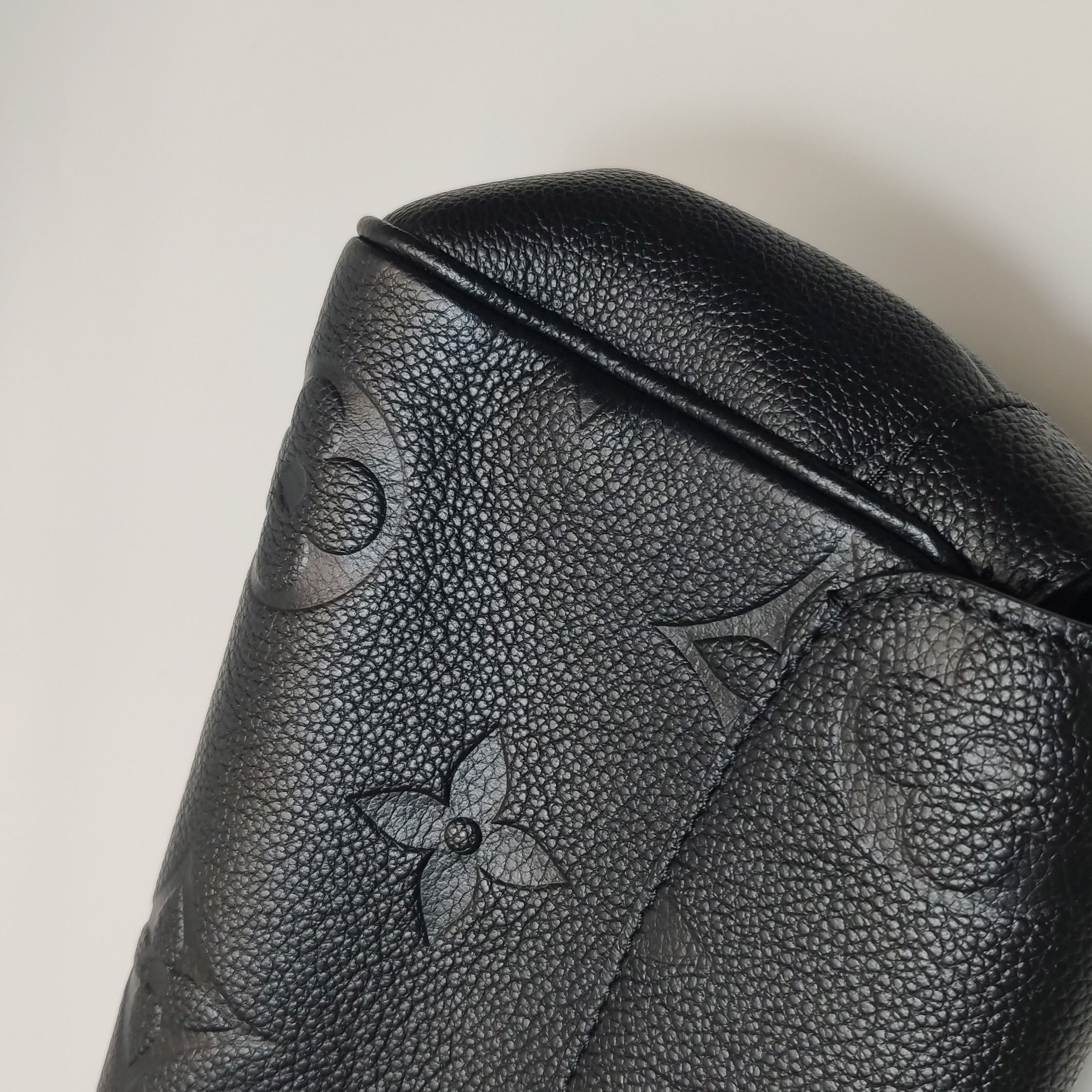 Louis Vuitton(LV) Favorite NM Handbag Monogram Empreinte Giant — photo 8 of 13