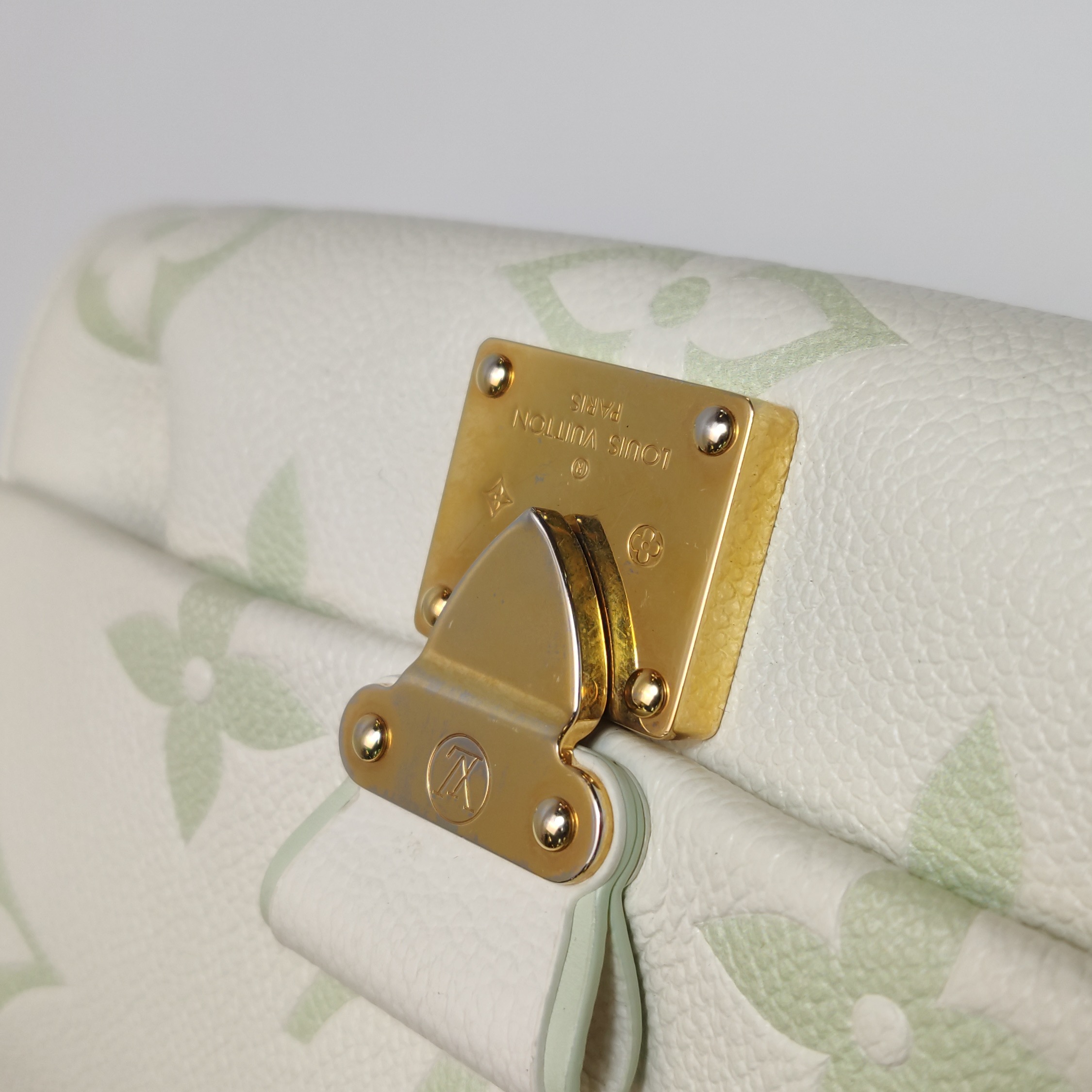 Louis Vuitton(LV) Favorite NM Handbag Bicolor Monogram Empreinte — photo 11 of 15