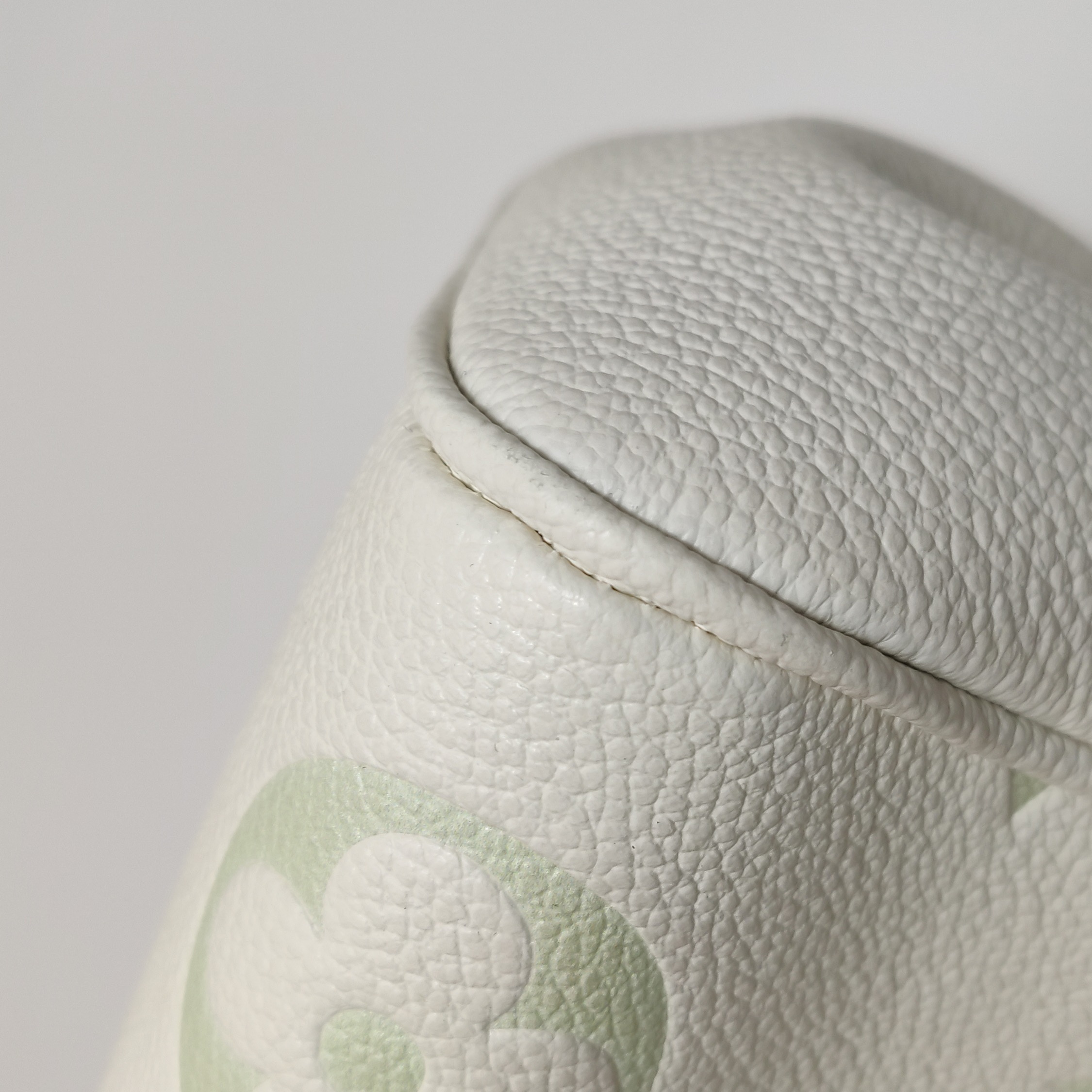 Louis Vuitton(LV) Favorite NM Handbag Bicolor Monogram Empreinte — photo 10 of 15