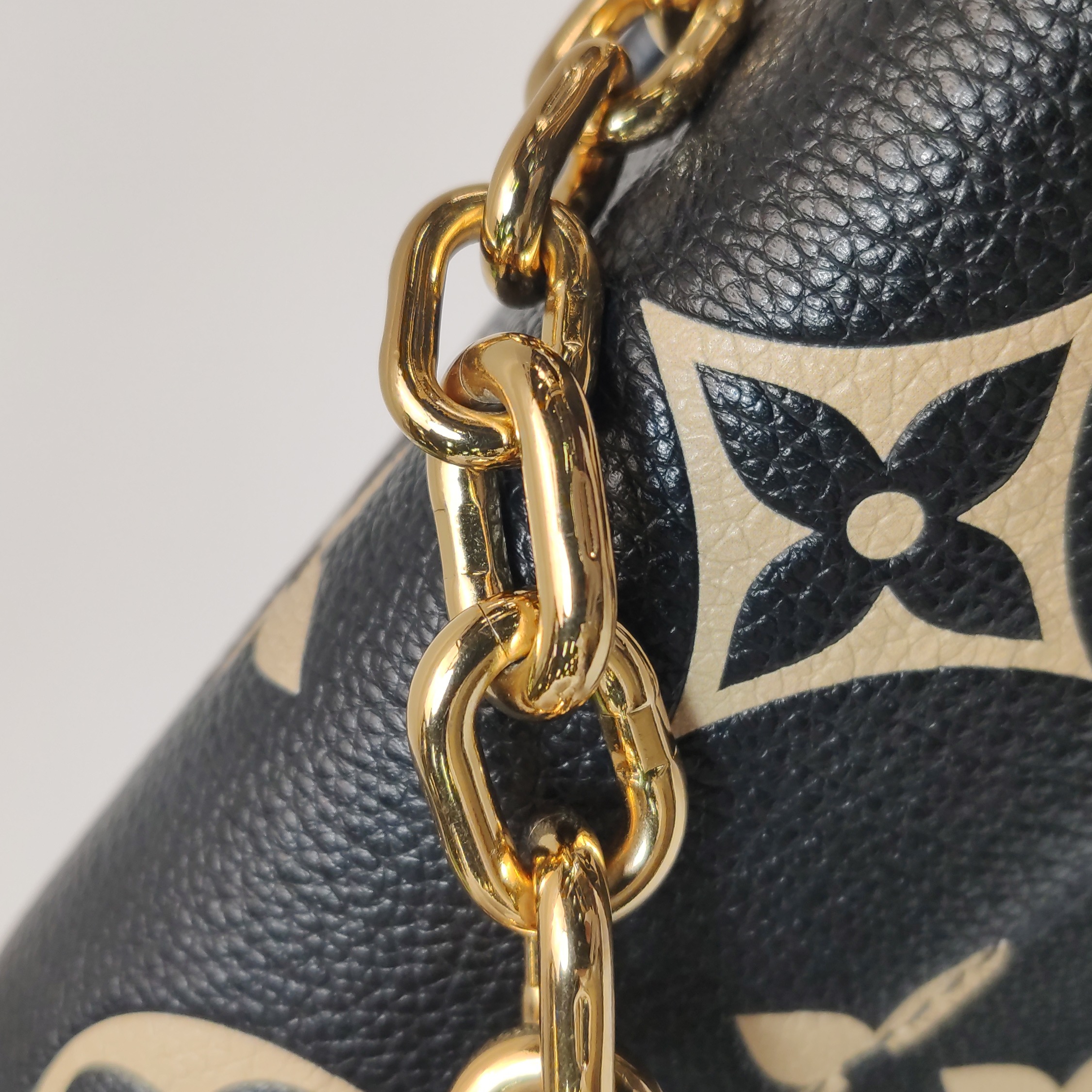 Louis Vuitton(LV) Favorite NM Handbag Bicolor Monogram Empreinte Giant — photo 13 of 15