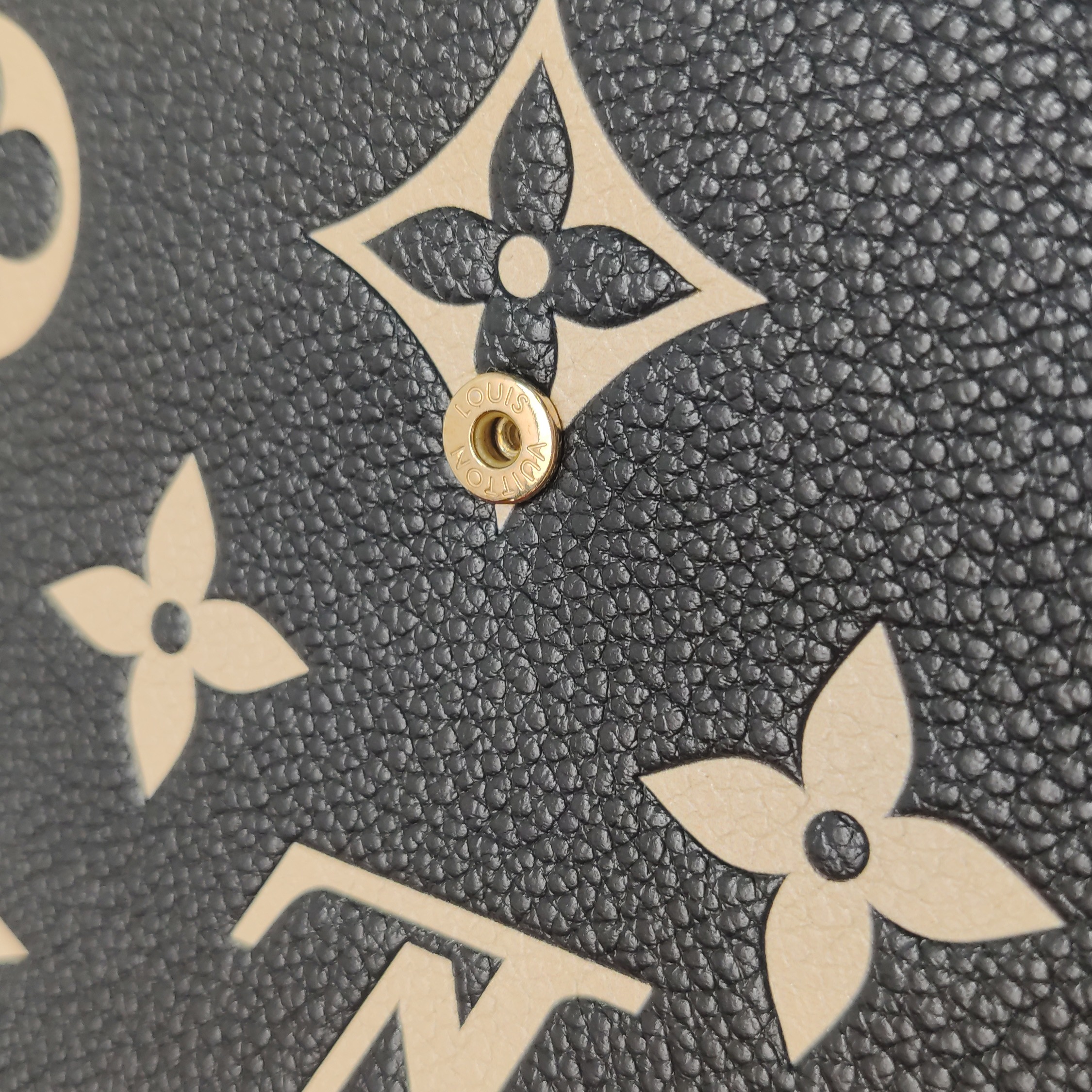 Louis Vuitton(LV) Felicie Pochette Bicolor Monogram Empreinte Giant — photo 9 of 14