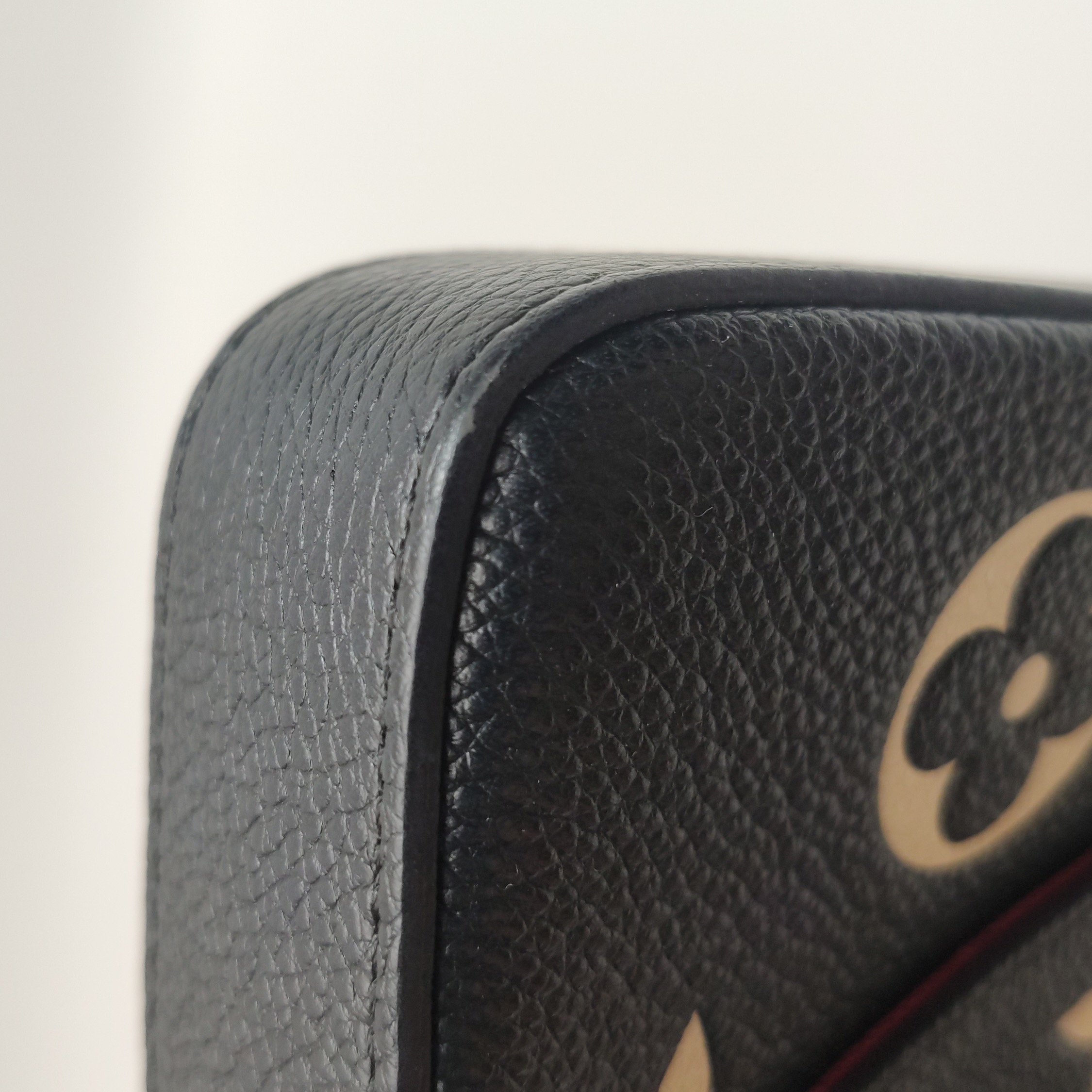 Louis Vuitton(LV) Felicie Pochette Bicolor Monogram Empreinte Giant — photo 10 of 14