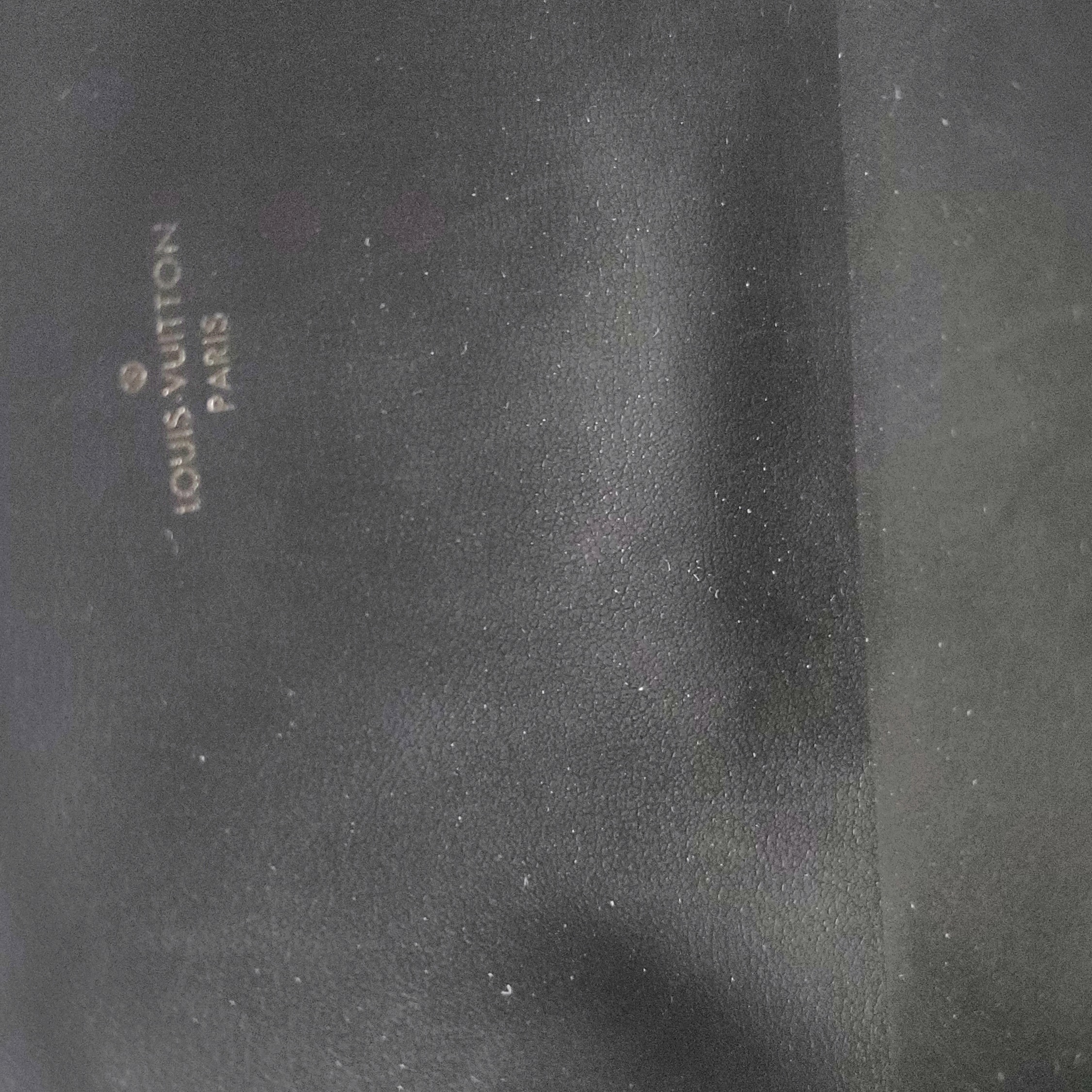 Louis Vuitton(LV) Felicie Pochette Bicolor Monogram Empreinte Giant — photo 14 of 14